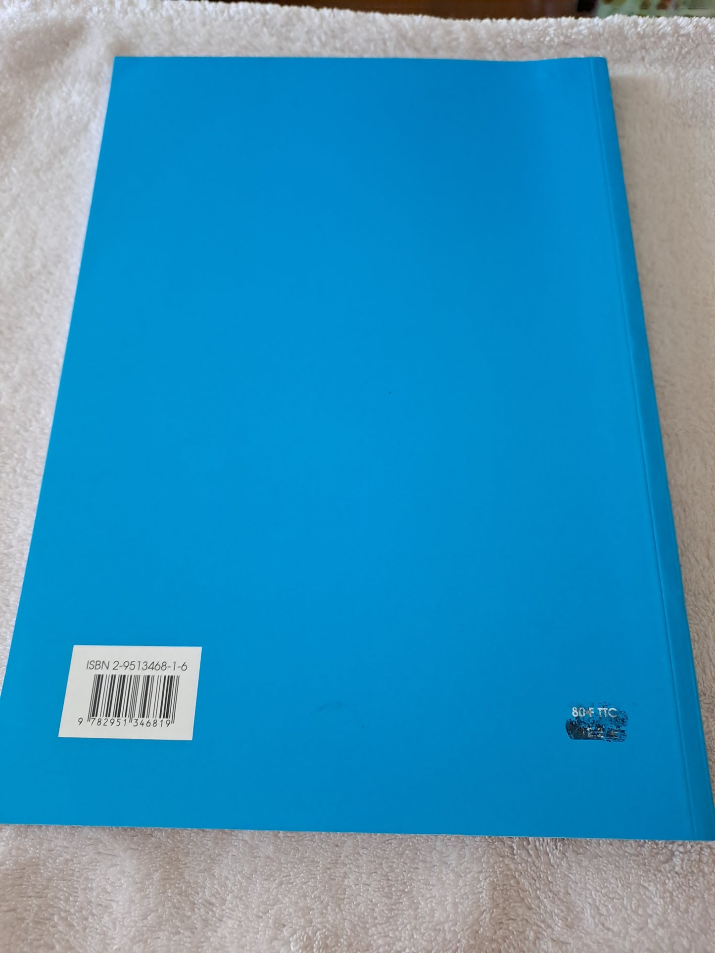 Livre. Dijon de porte en porte. Thérèse Dubuisson.