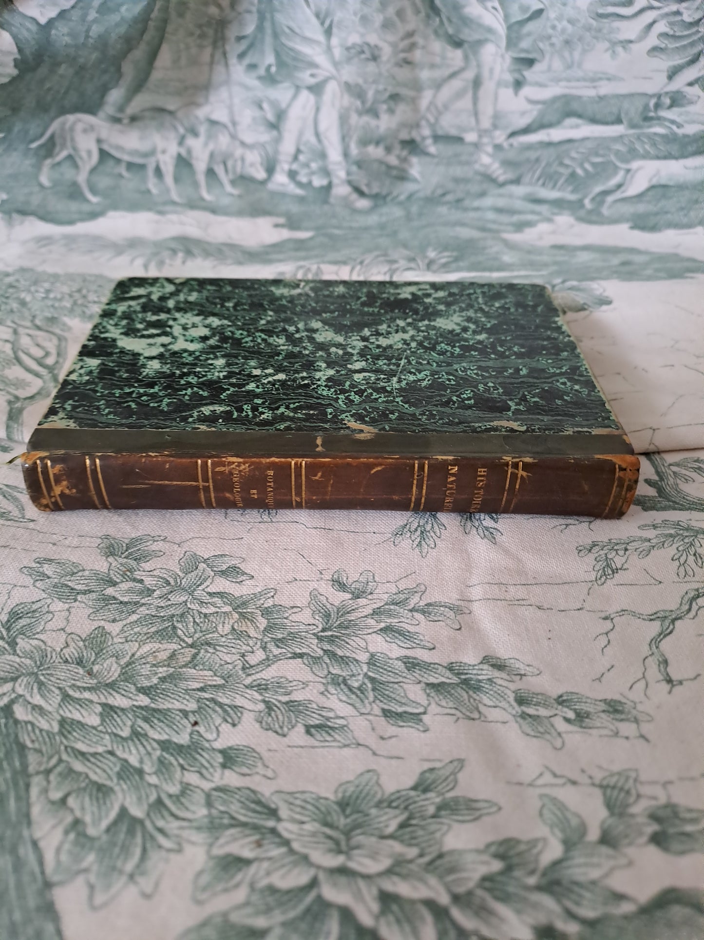 Botanique/ géologie. Nouveau spectacle de la nature ou Dieu et ses œuvres. 1842. Ancien livre vintage catholique.