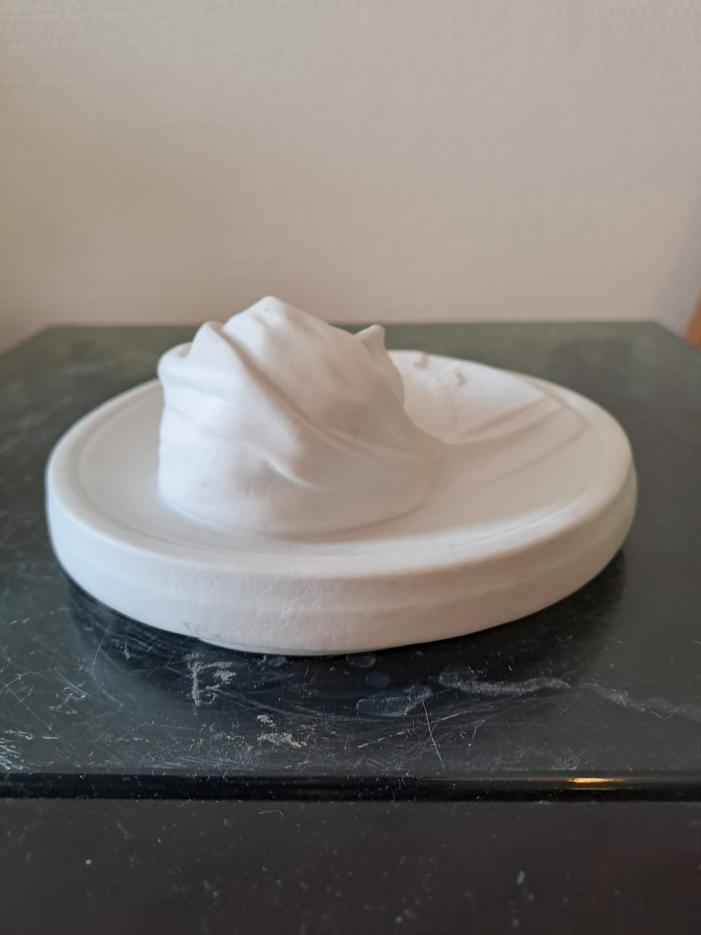 Médaillon Figurant La Sainte Vierge Marie Porcelaine Blanche  Biscuit Bas-relief