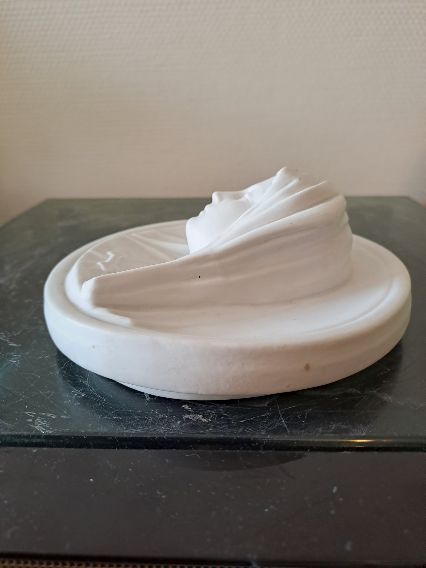 Médaillon Figurant La Sainte Vierge Marie Porcelaine Blanche  Biscuit Bas-relief