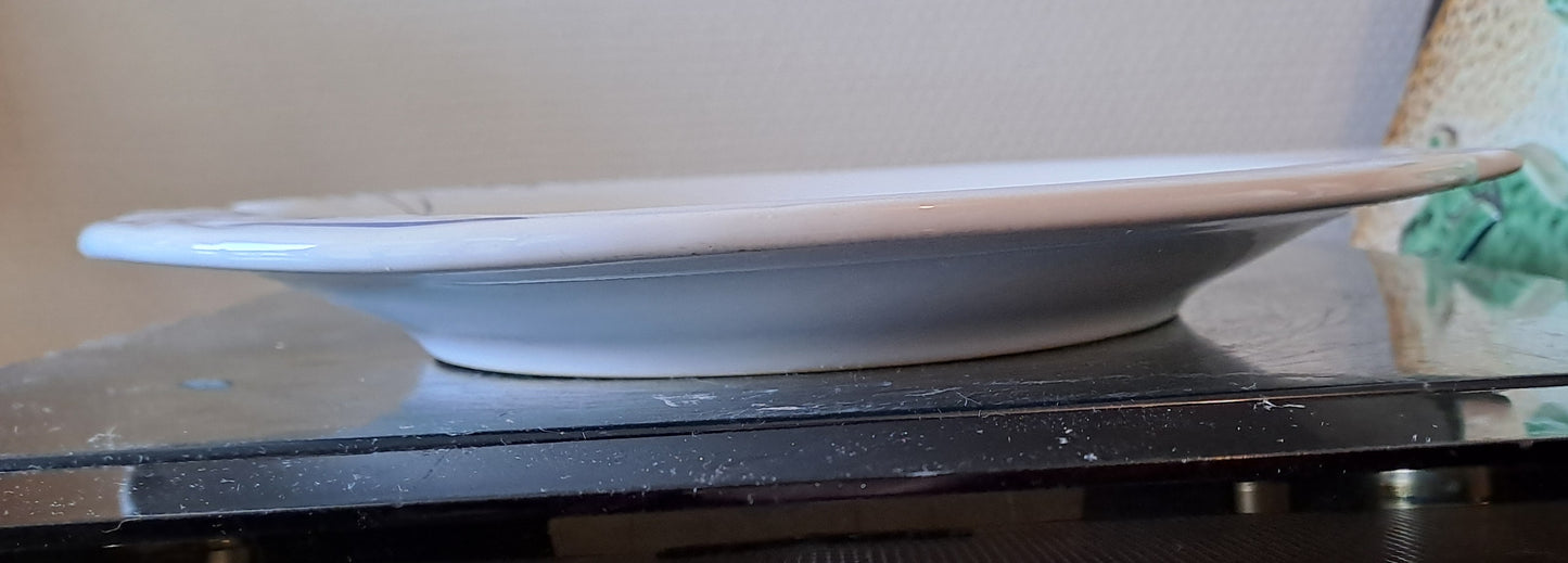 Plat Figurant un Poisson Pornic France Fleur De Lys.