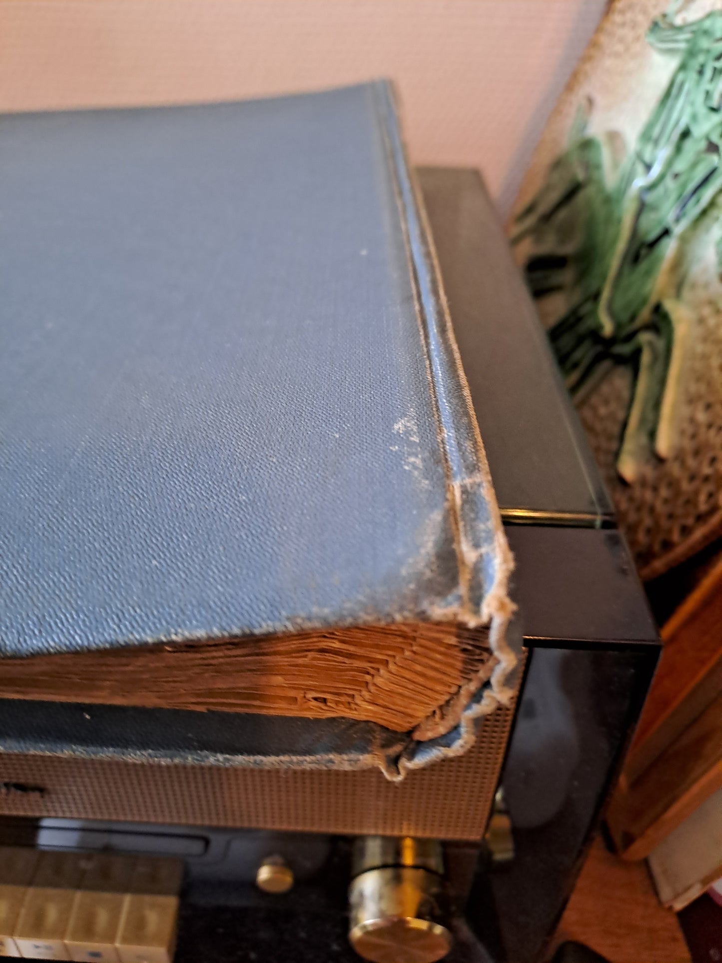 Album Photos Art Nouveau.