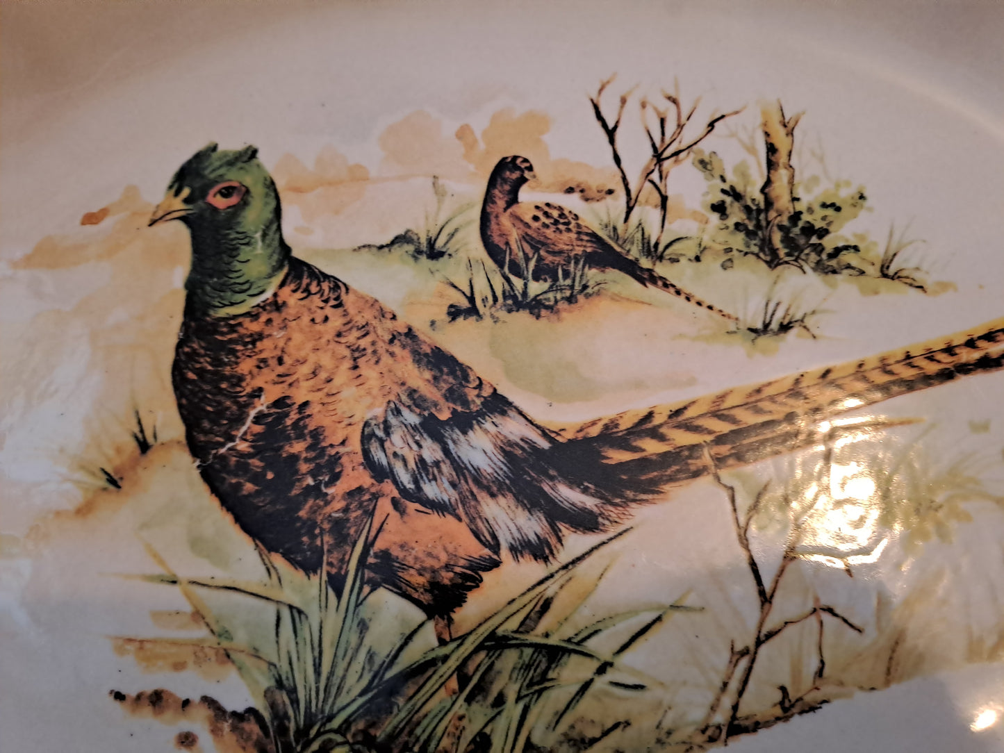 Plat Figurant Deux Faisans. Ceramica Castellania. Made In Italy.