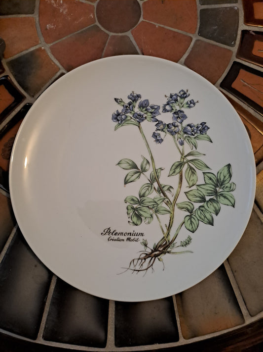 Assiette en Porcelaine. Mobil. Winterling. 24.5 cm.