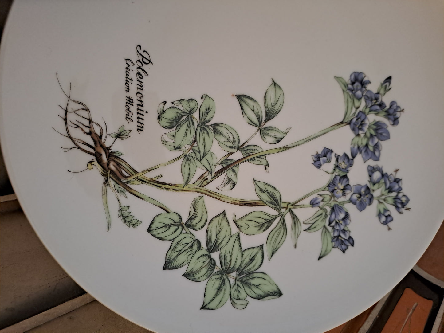 Assiette en Porcelaine. Mobil. Winterling. 24.5 cm.