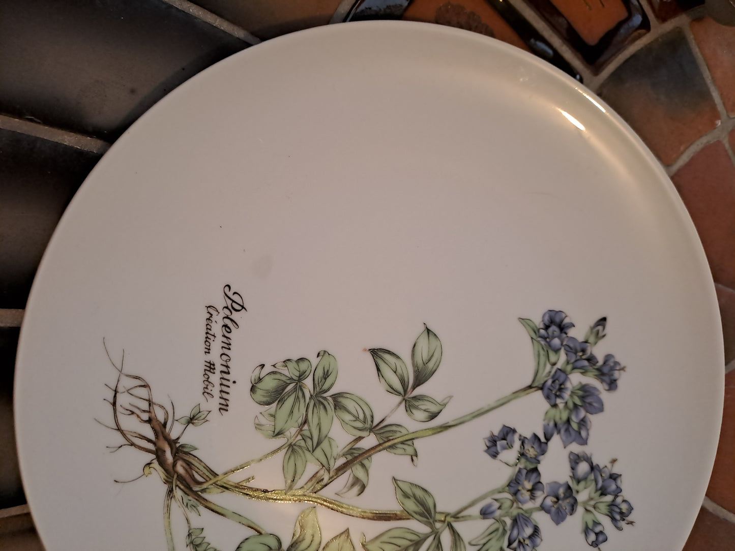 Assiette en Porcelaine. Mobil. Winterling. 24.5 cm.