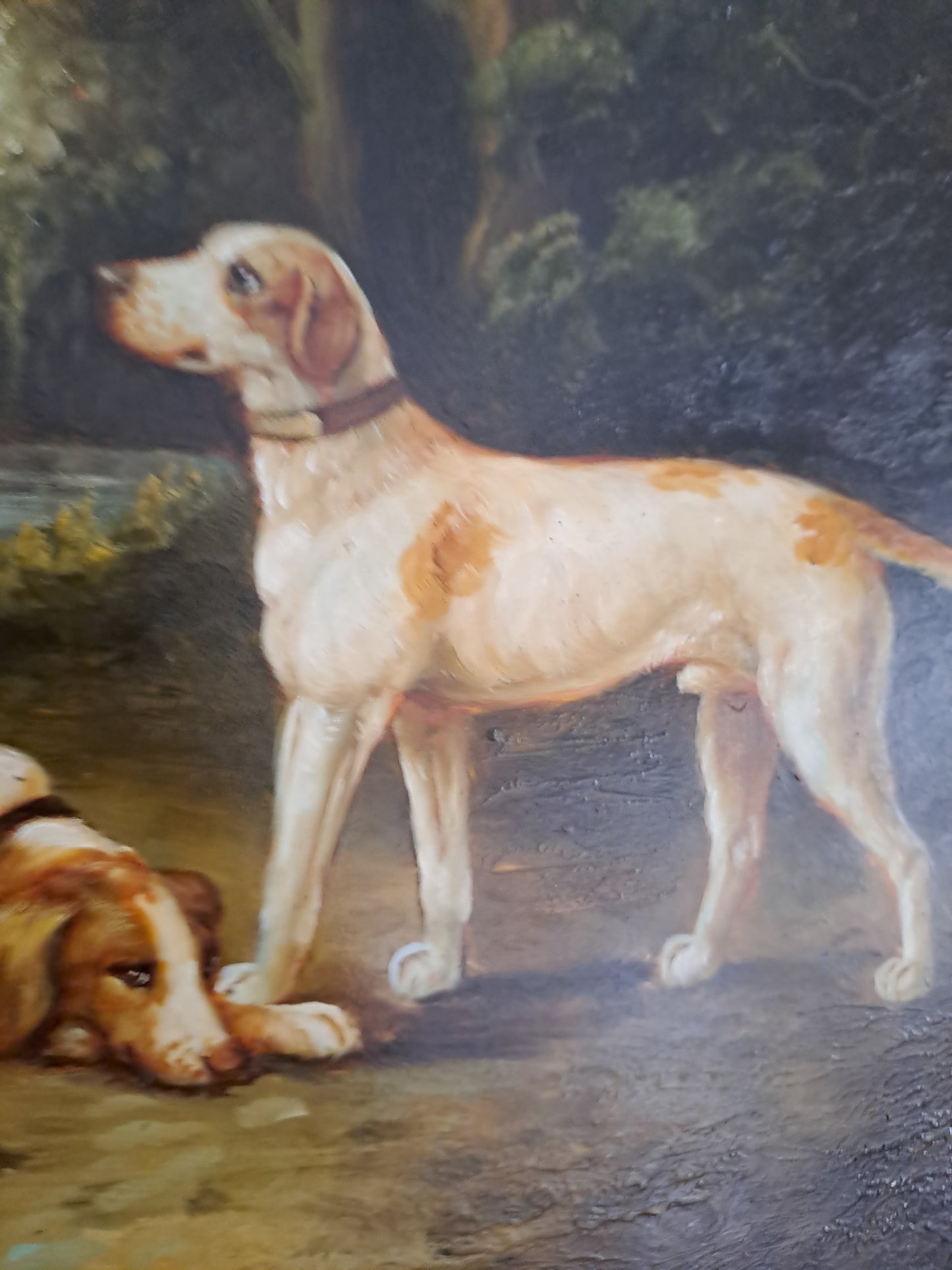 Tableau. Chiens Se Reposant Dans Un Sous-Bois. Huile Sur Panneau. 41 X 46.5 Cm.