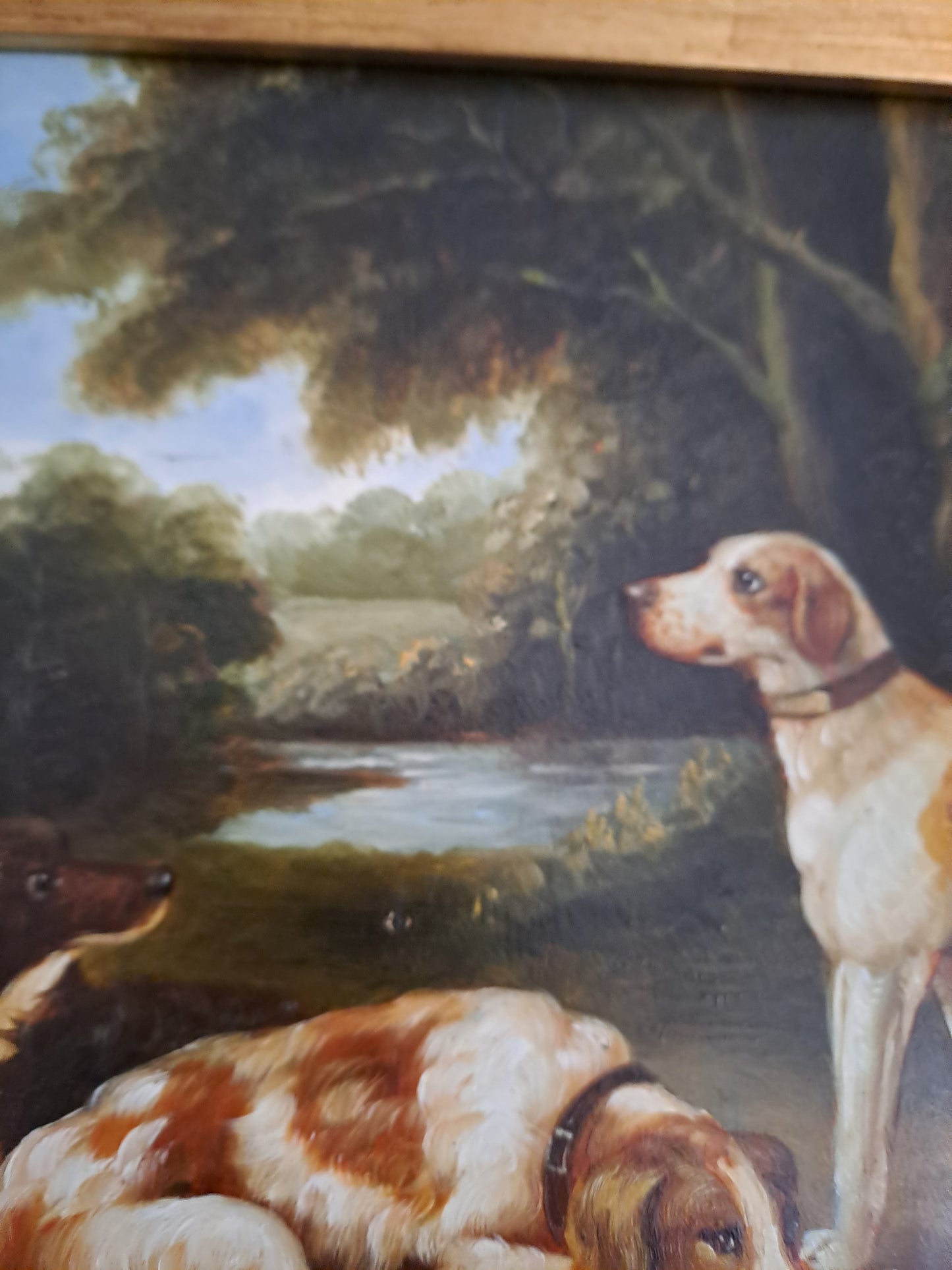 Tableau. Chiens Se Reposant Dans Un Sous-Bois. Huile Sur Panneau. 41 X 46.5 Cm.