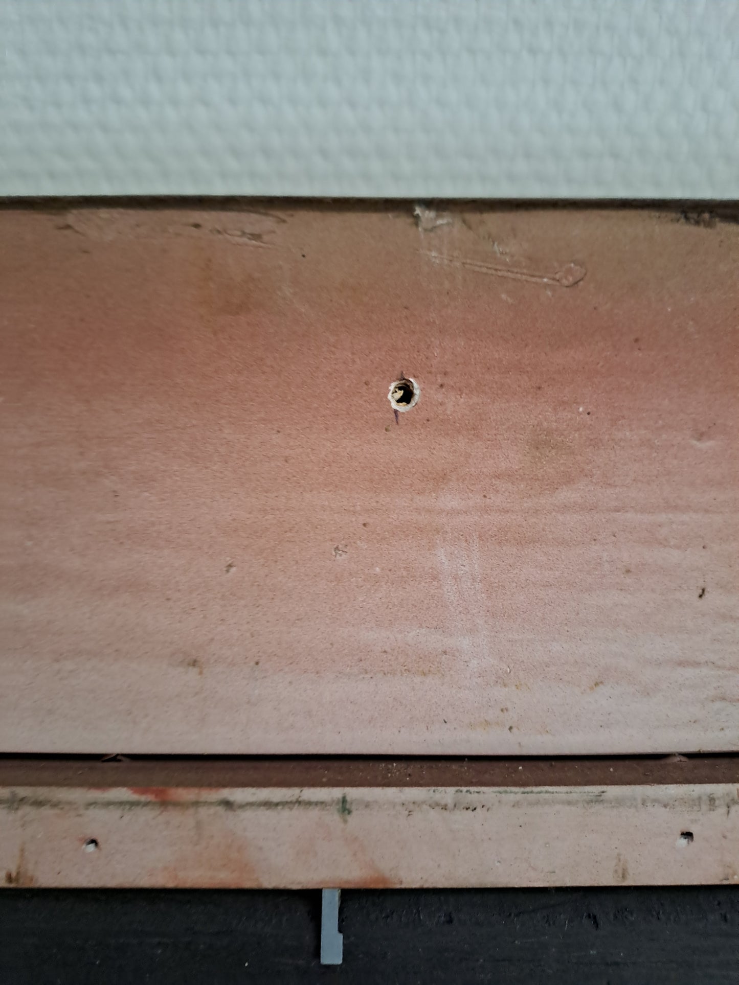 Tableau. Chiens Se Reposant Dans Un Sous-Bois. Huile Sur Panneau. 41 X 46.5 Cm.