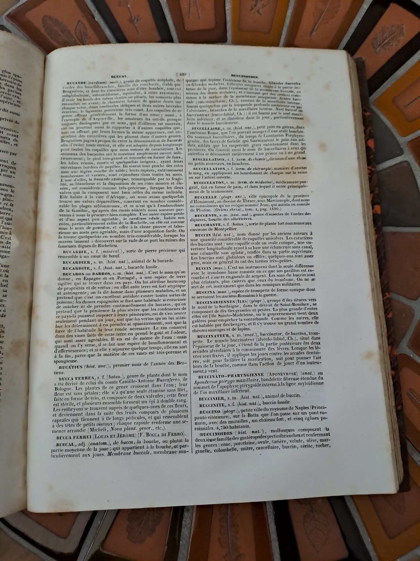Encyclopedie Catholique. Abbé Glaire. T 4. 1842.