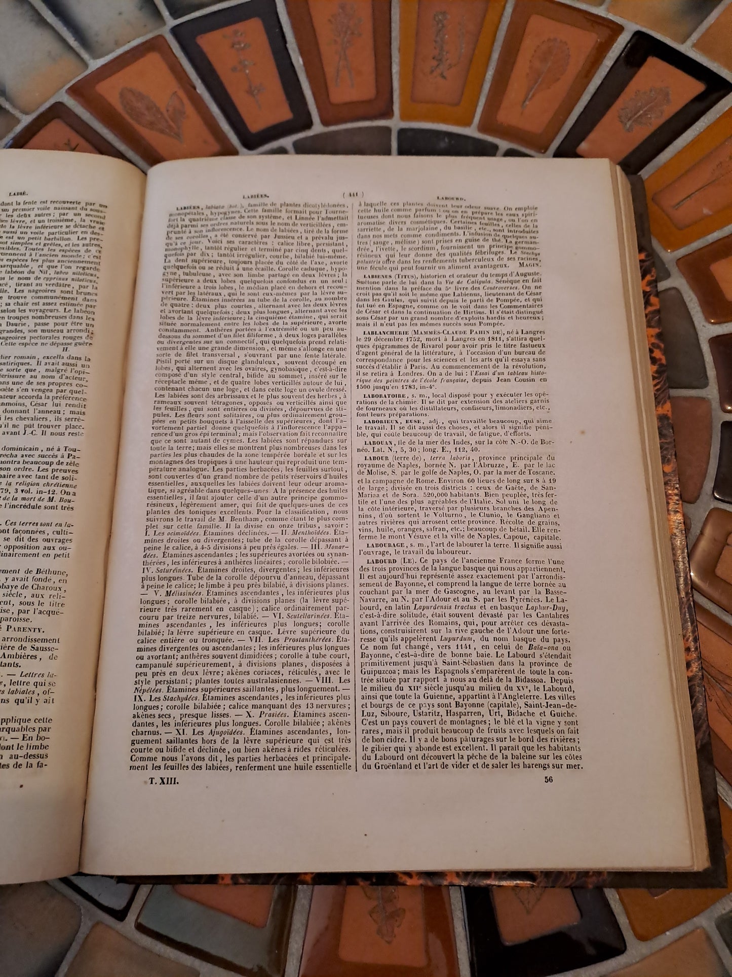 Encyclopedie Catholique. Abbé Glaire. T13. 1854. Revu Et Corrigé.