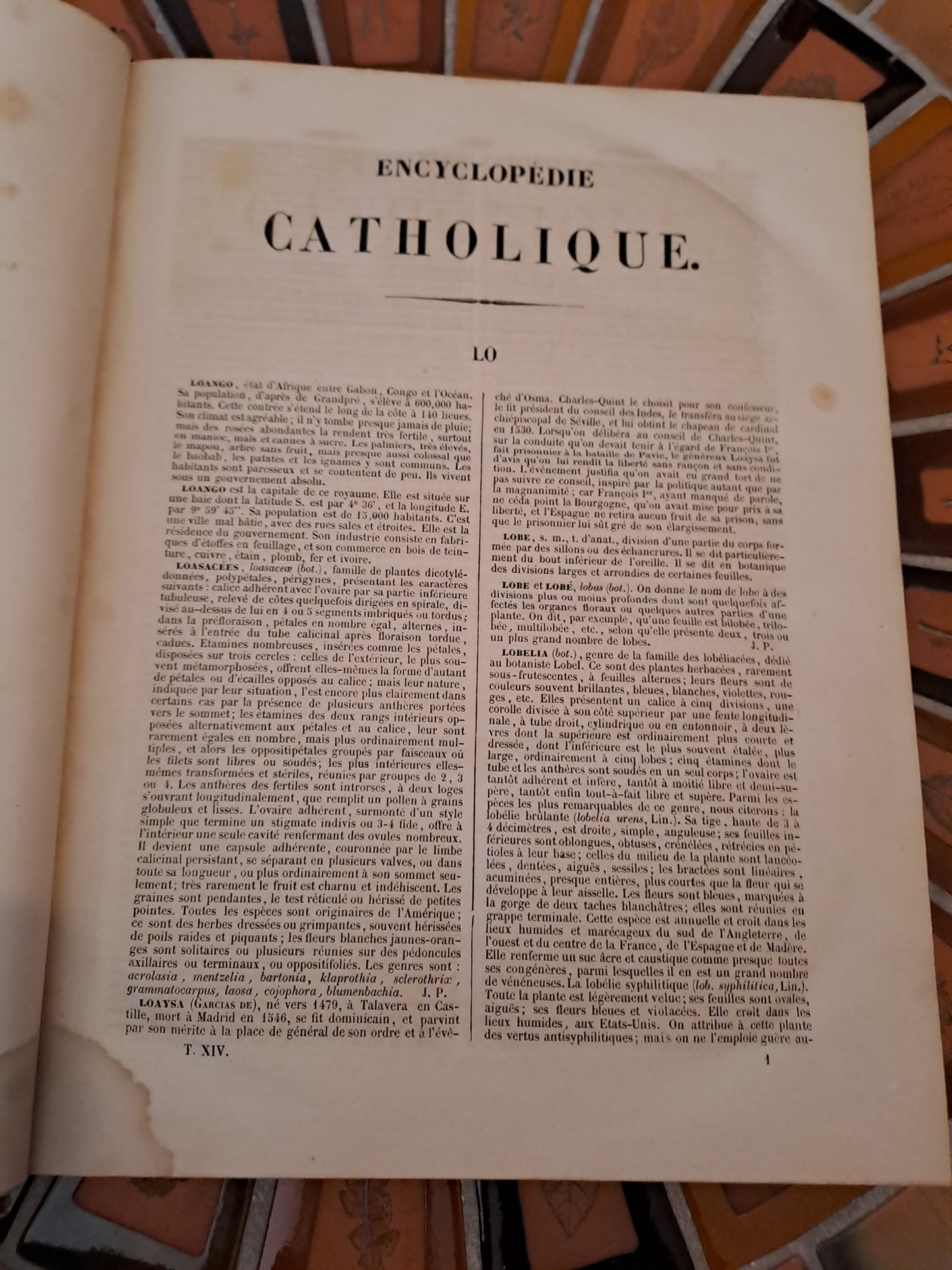 Encyclopedie Catholique. Abbé Glaire. T14. 1847.