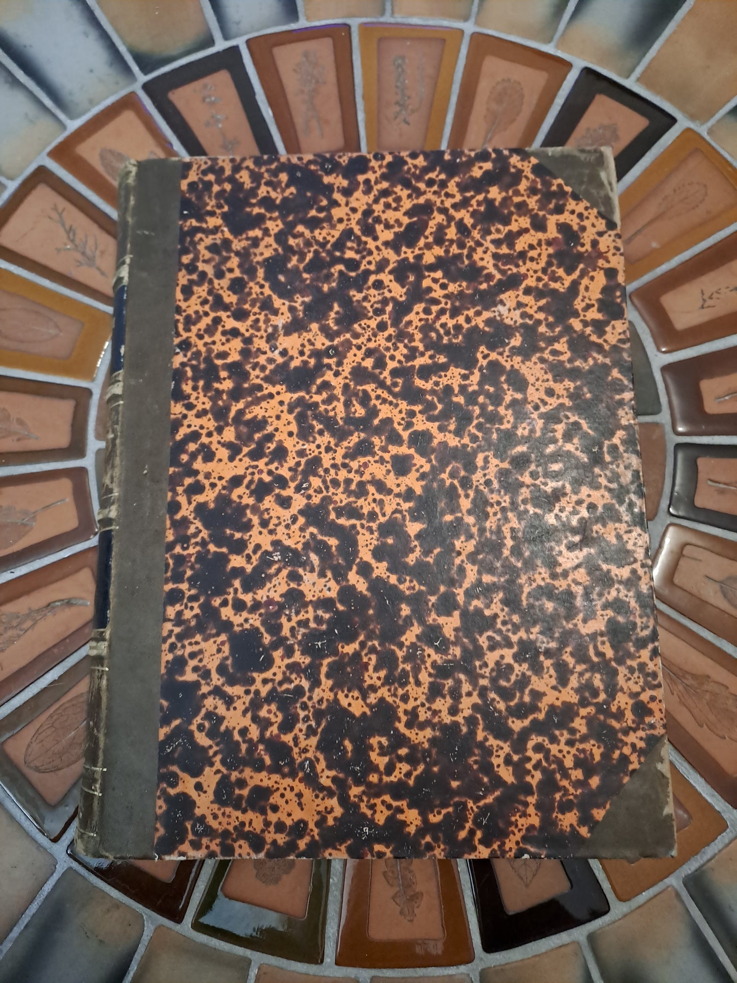 Encyclopedie Catholique. Supplément. T2.