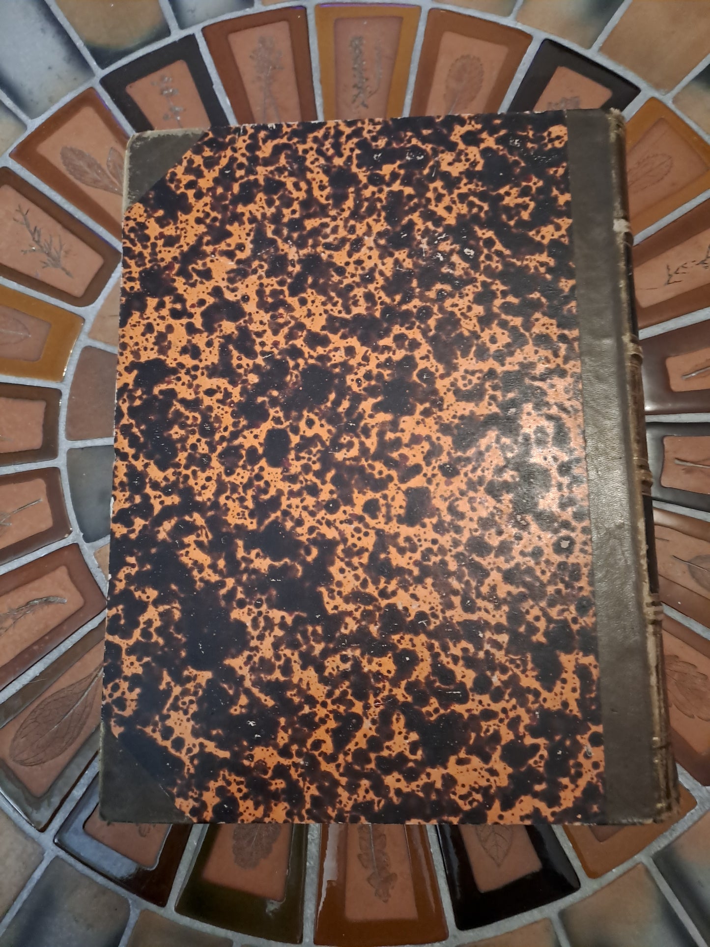 Encyclopedie Catholique. Supplément. T2.