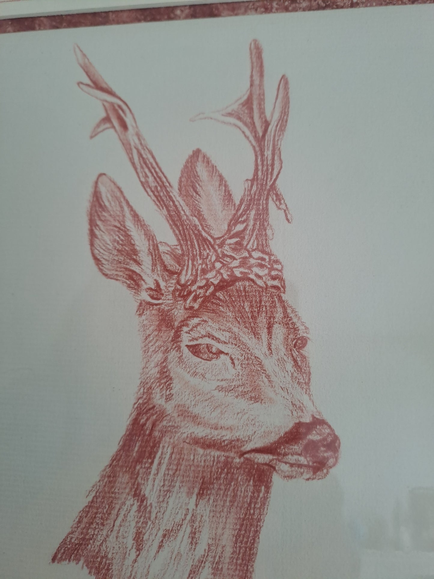 Cadre. Signé Triaire.Sanguine. Cerf/ Biche/ Chevreuil. 34X28 cm.