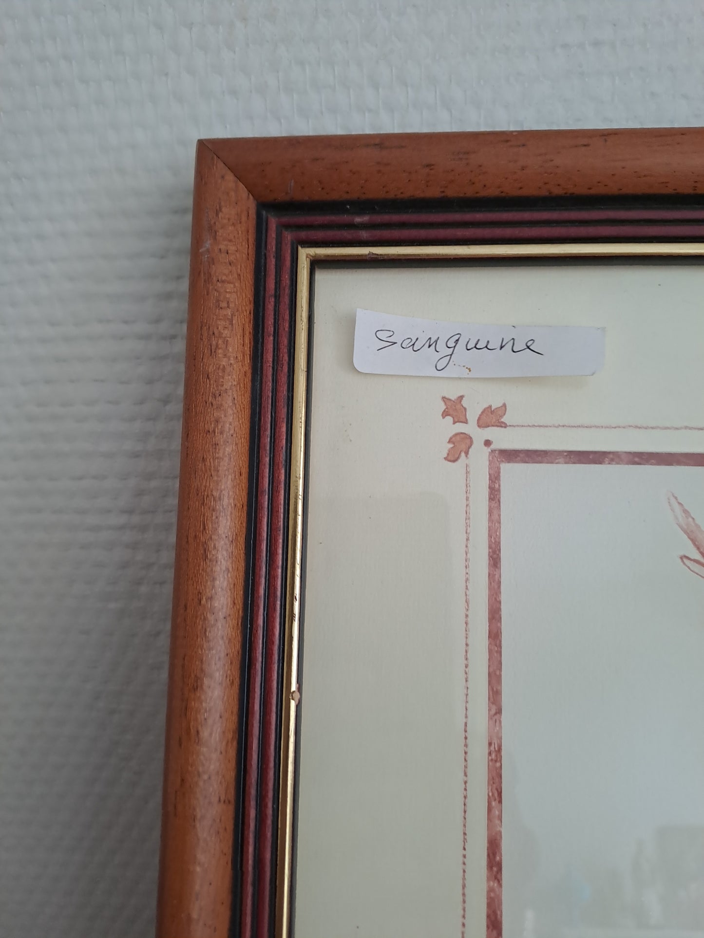 Cadre. Signé Triaire.Sanguine. Cerf/ Biche/ Chevreuil. 34X28 cm.