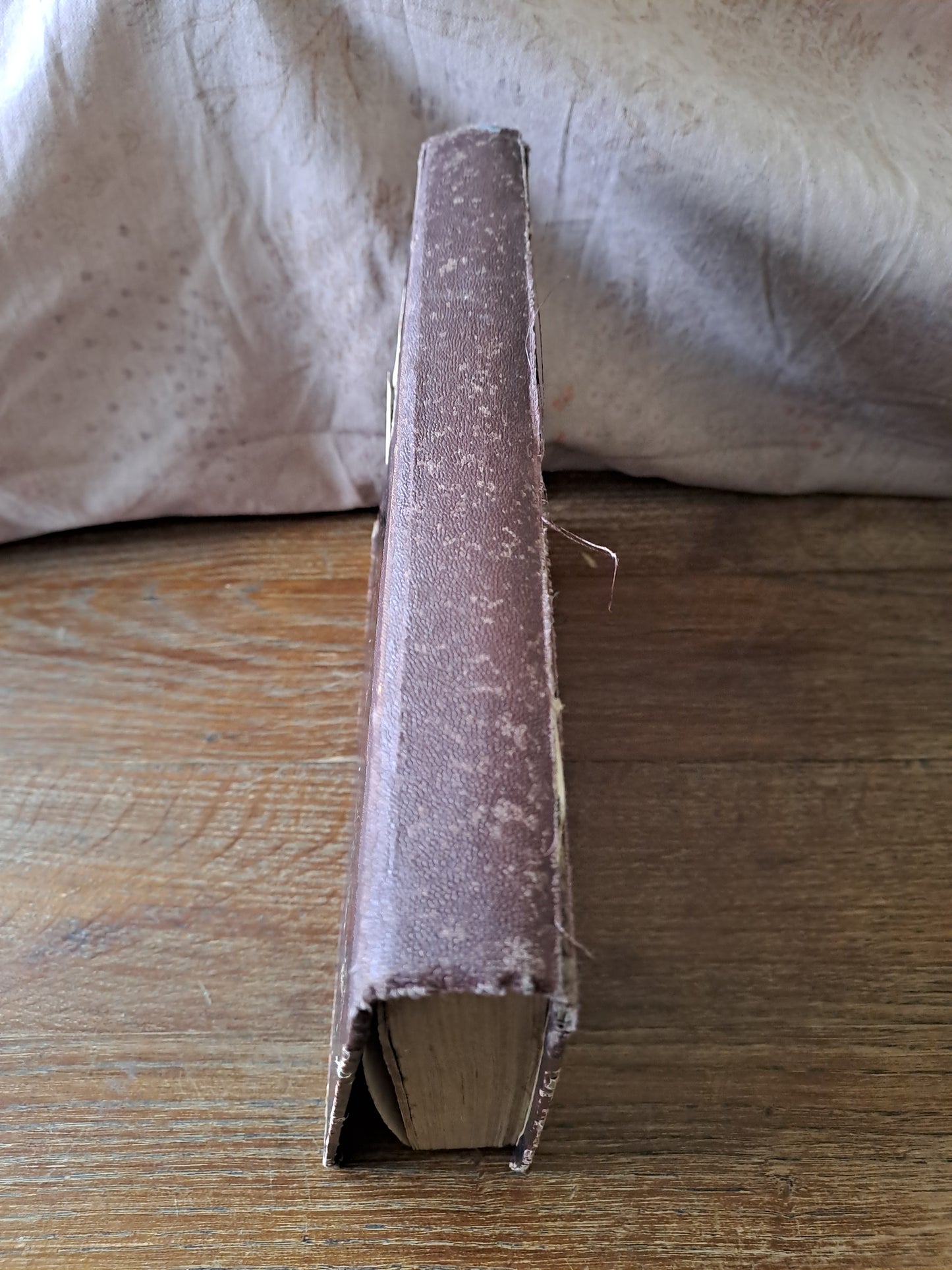 Groupement de revues "le Sanctuaire " juillet 1924 à décembre 1924. Poue enfants de Chœur. Ancien livre vintage.