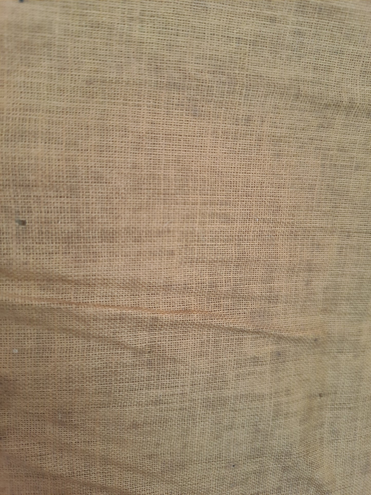 Bannière de processions. Vierge à la chaise d'après Raphaël. Ancien decoration vintage catholique.