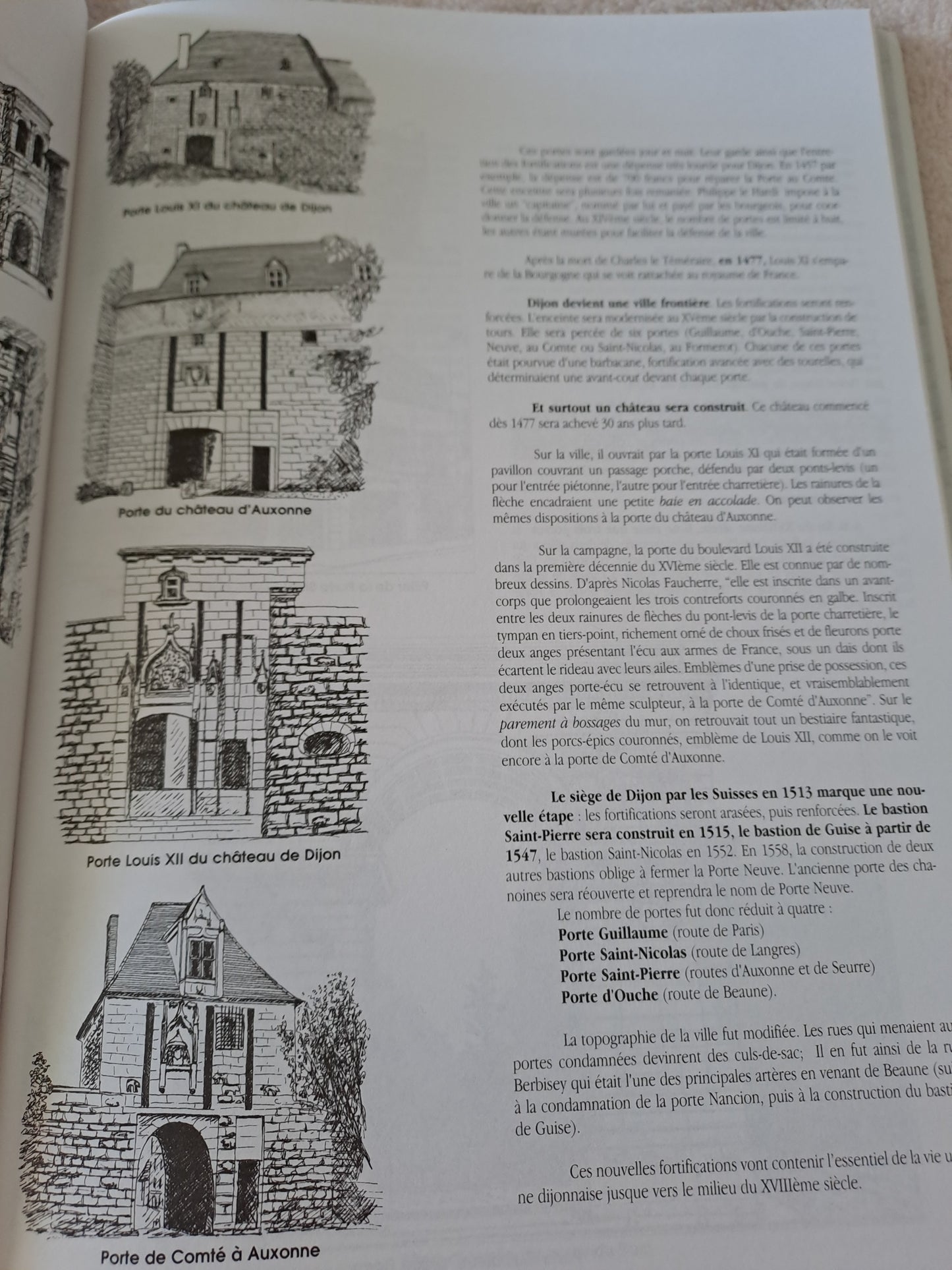 Livre. Dijon de porte en porte. Thérèse Dubuisson.