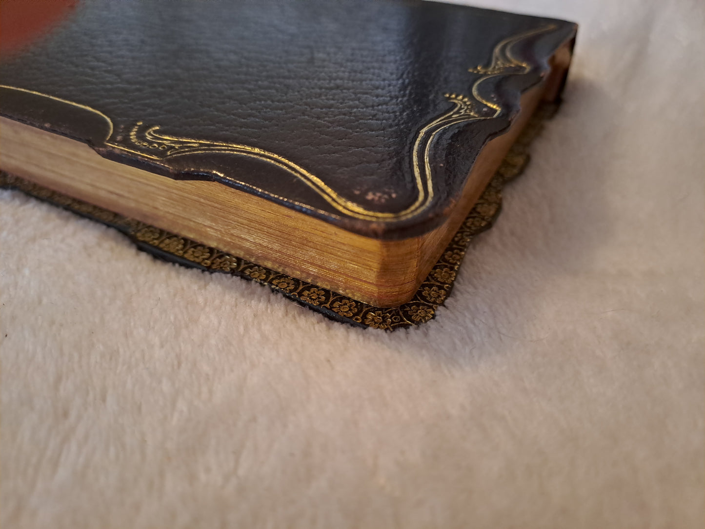 Missel romain à l'usage des fidèles contenant les prières usuelles, propre du temps et propre....