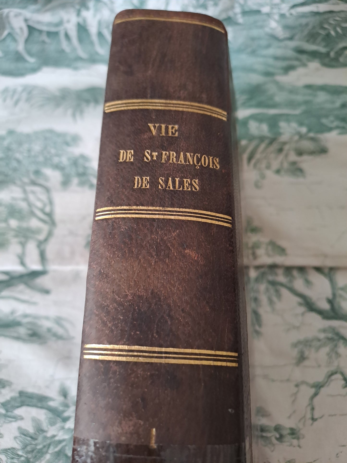Vie de Saint François de Sales. 1856. Tome 1.