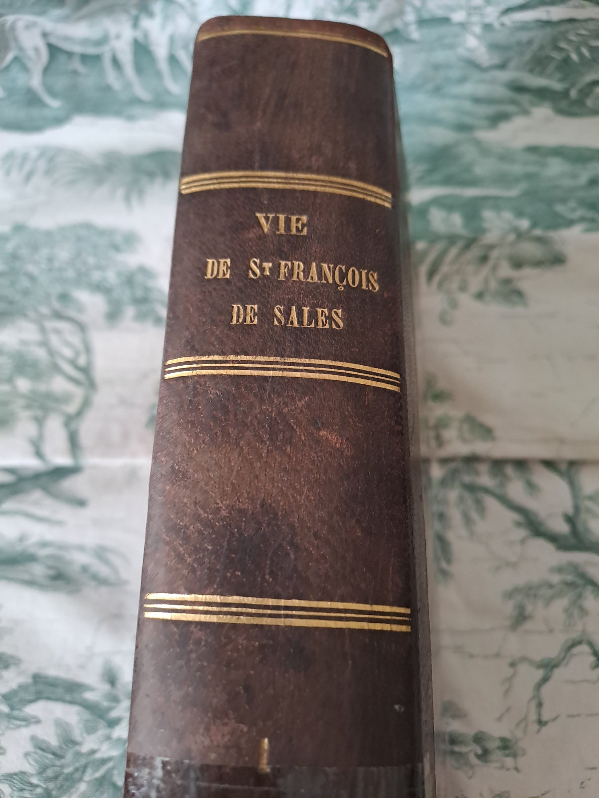 Vie de Saint François de Sales. 1856. Tome 1.