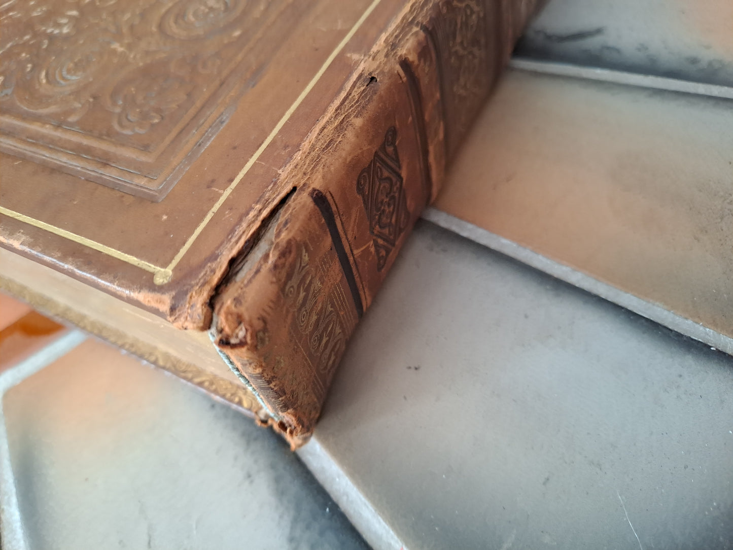 Biblia sacra Vulgate editionis Sixti V pontificus maximi Jessu recognita Clementis VIII Auctoritate edita. 1827.