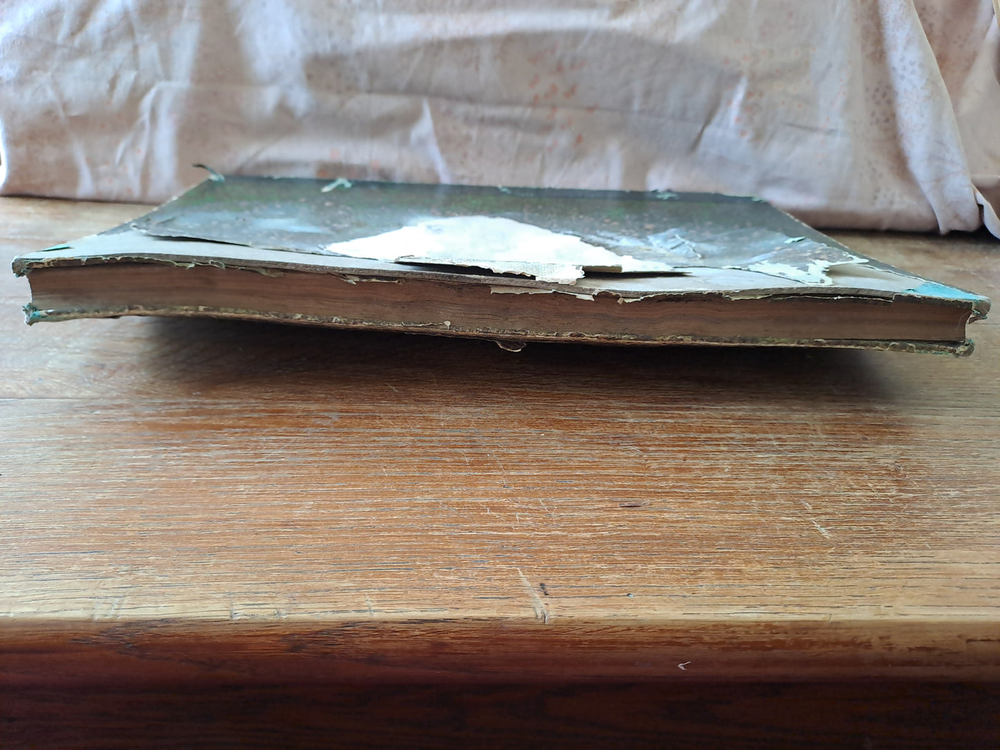 Revues " La mode illustré " journal de la famille. Pour l'année 1890. 31eme année. Ancien livre vintage.