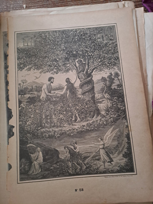 Gravure. Le peché originel.  Ancien decoration vintage catholique.