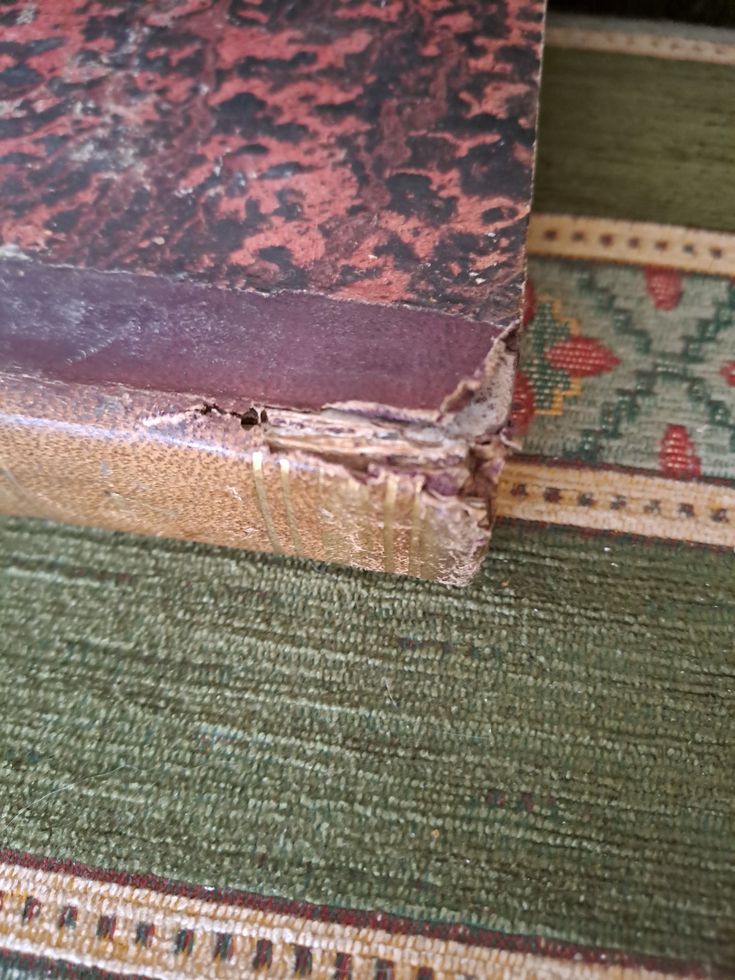 Bible. T7. 1835. R P De Carrières Commentaires De Menochius.