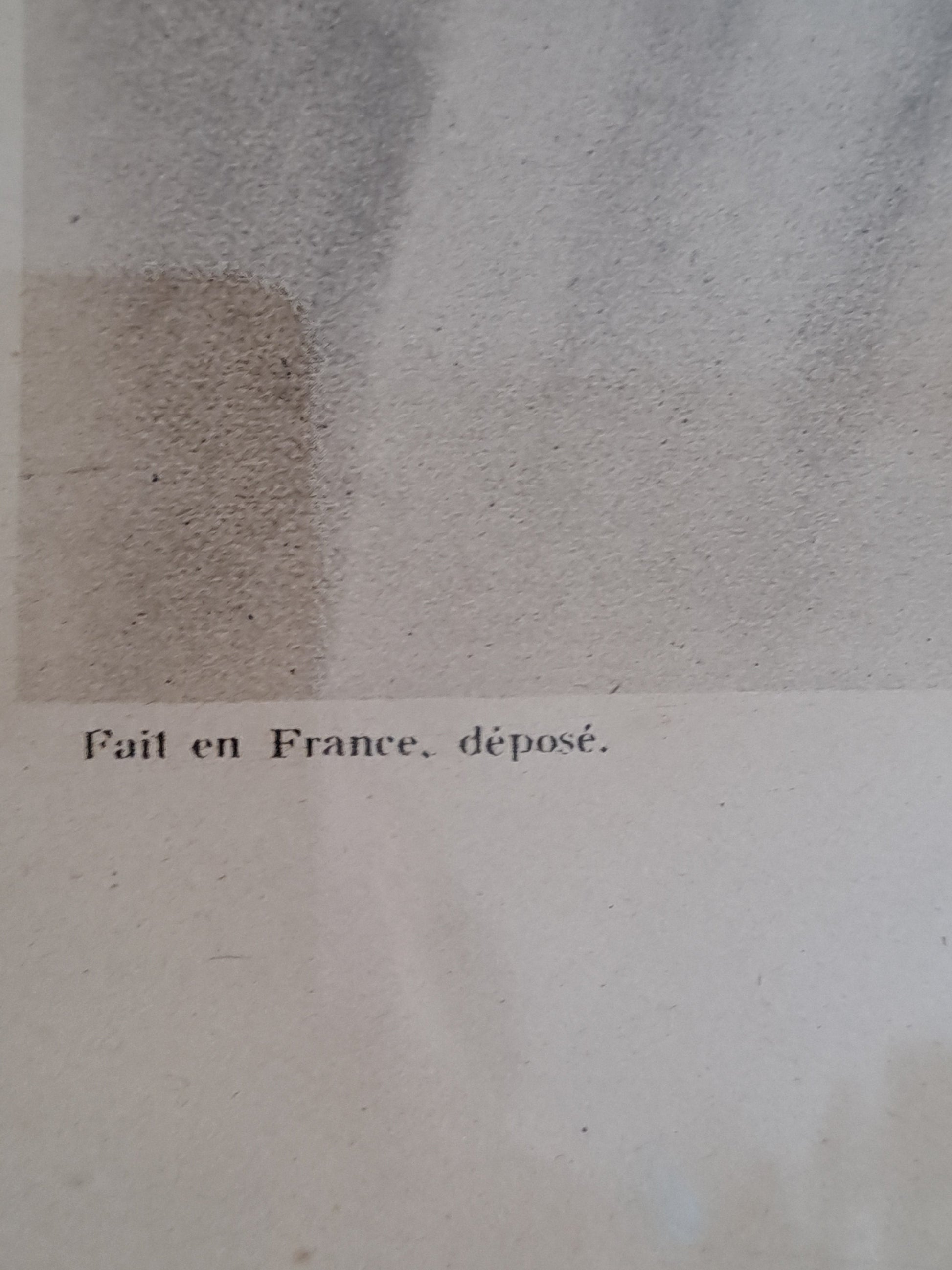 Gravure représentant Sainte Thérèse De L'enfant Jesus de la Sainte-Face. 52 cm x 42 cm.