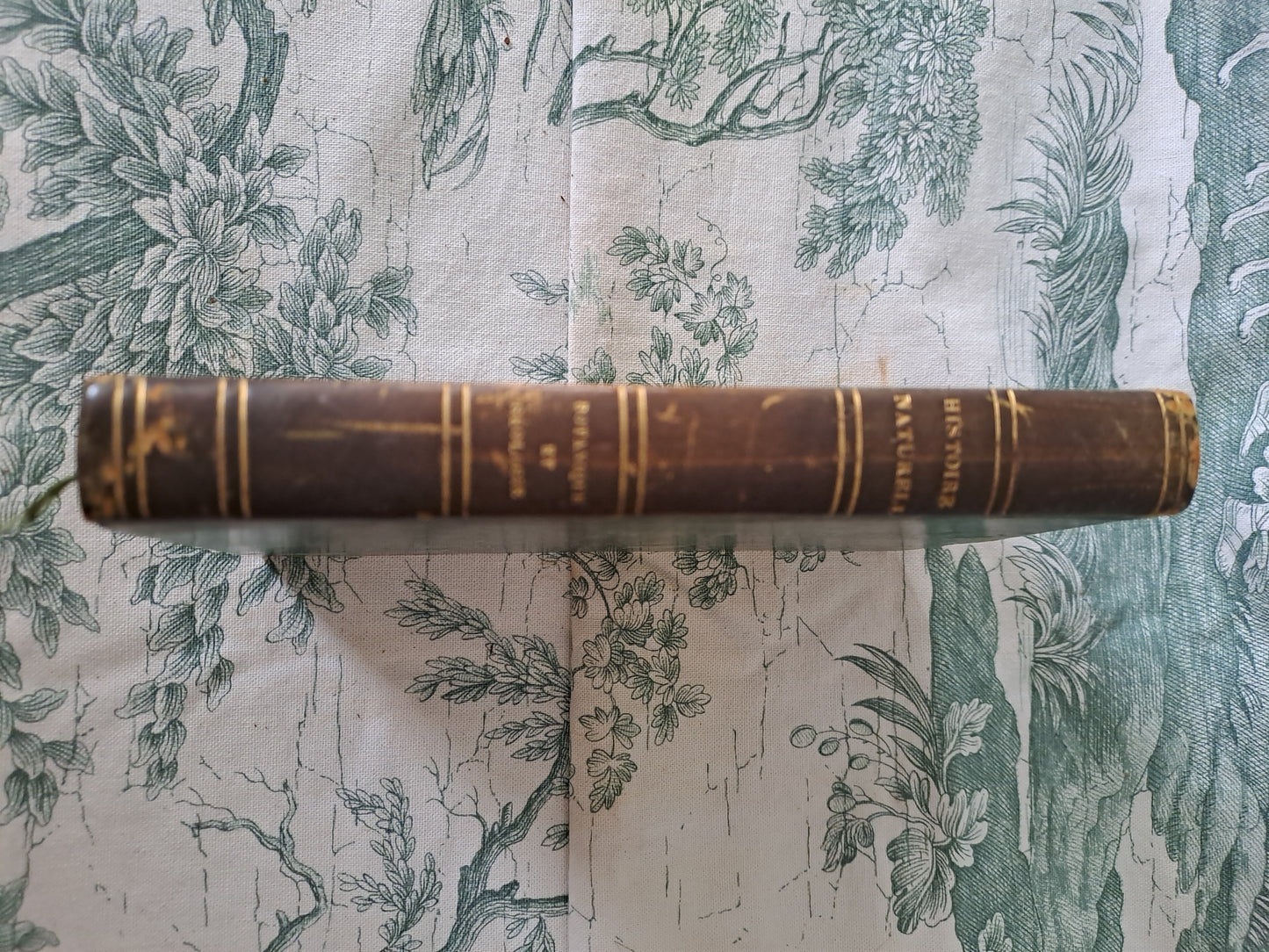 Botanique/ géologie. Nouveau spectacle de la nature ou Dieu et ses œuvres. 1842. Ancien livre vintage catholique.