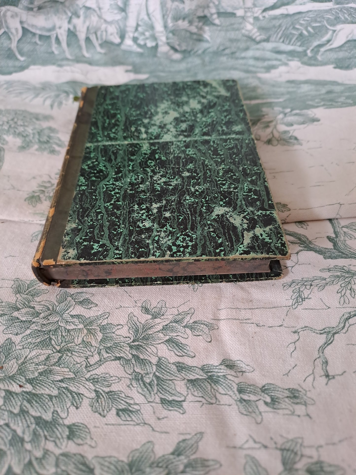 Insectes/ mollusques articulés. Nouveau spectacle de la nature ou Dieu et ses œuvres. 1842. Ancien livre vintage catholique.