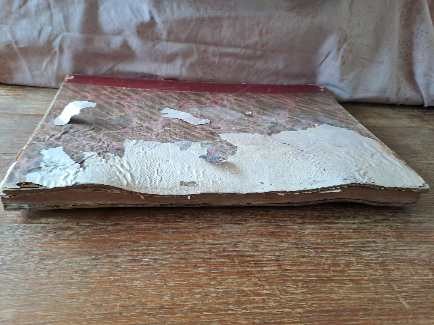 Revues "la mode illustré " 1896.