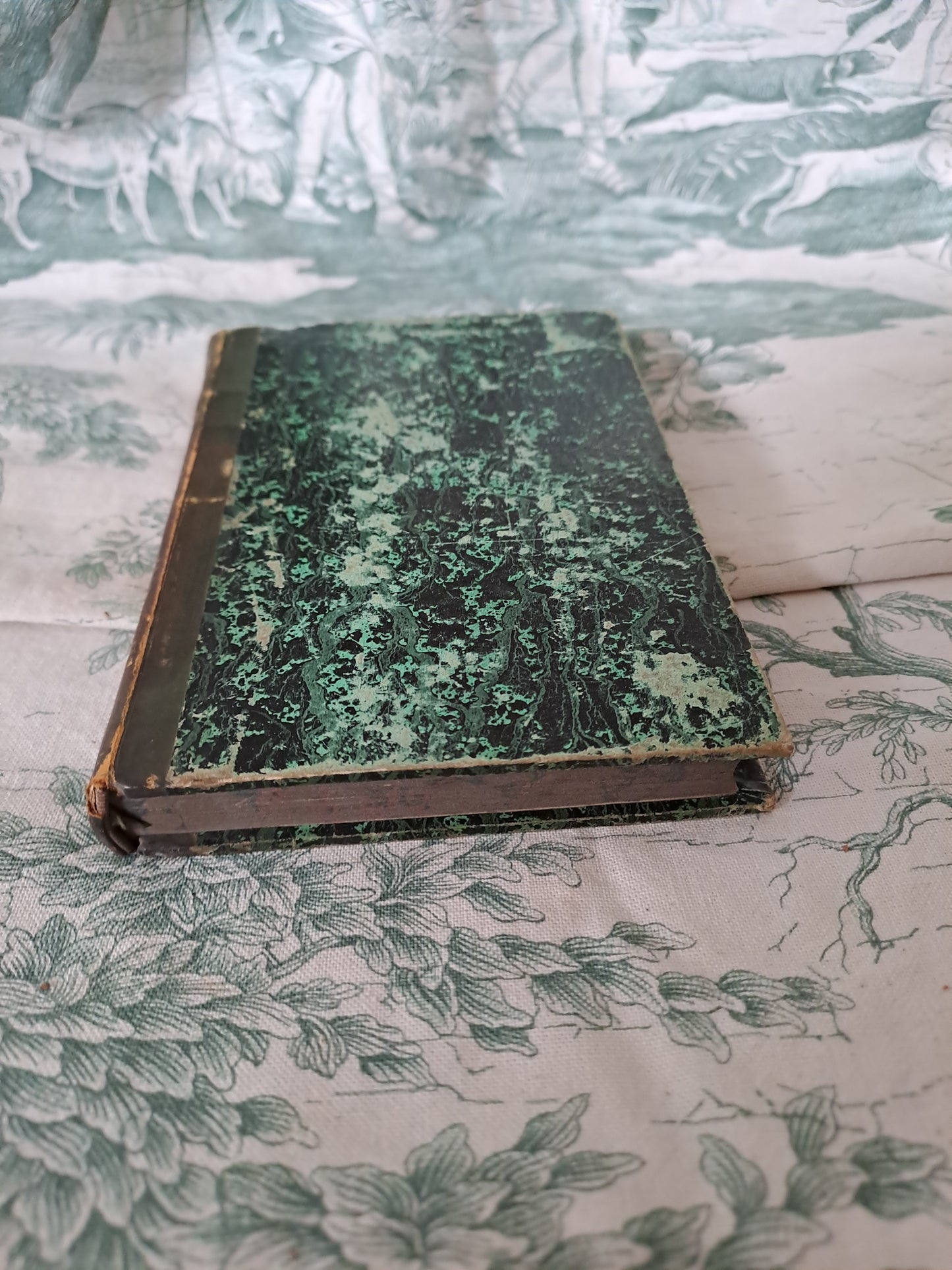 Oiseaux / reptiles et poissons. Nouveau spectacle de la nature ou Dieu et ses œuvres. 1842. Ancien livre vintage catholique.