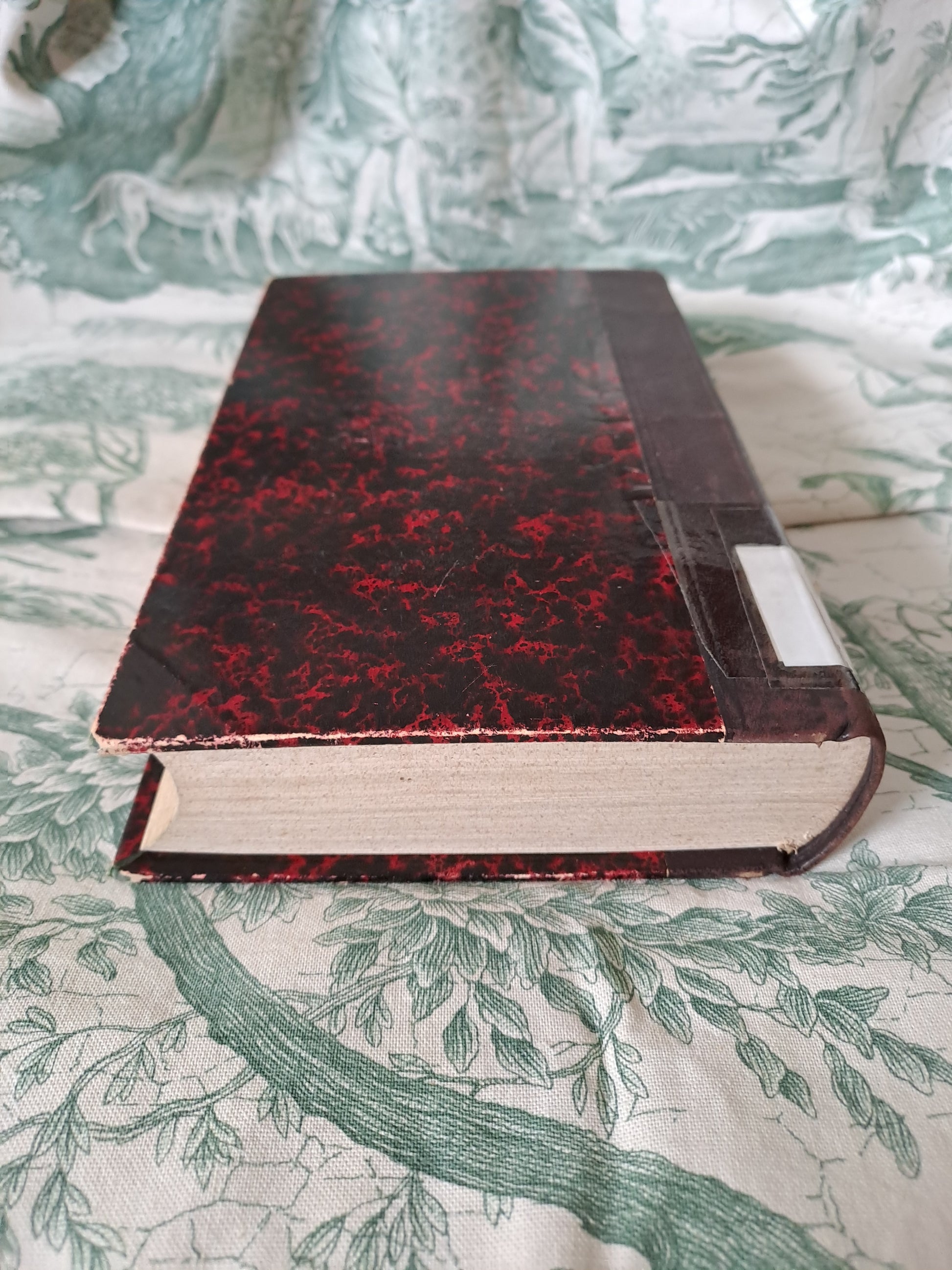 Vie de Saint François de Sales.  1856. Tome 1. 