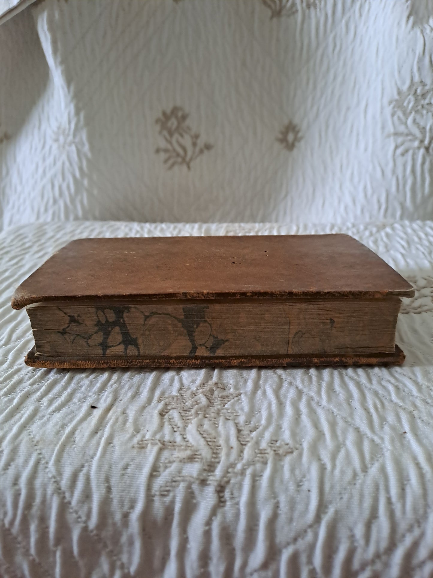 Livre. La véritable conduite de saint François de Sales. 1828.