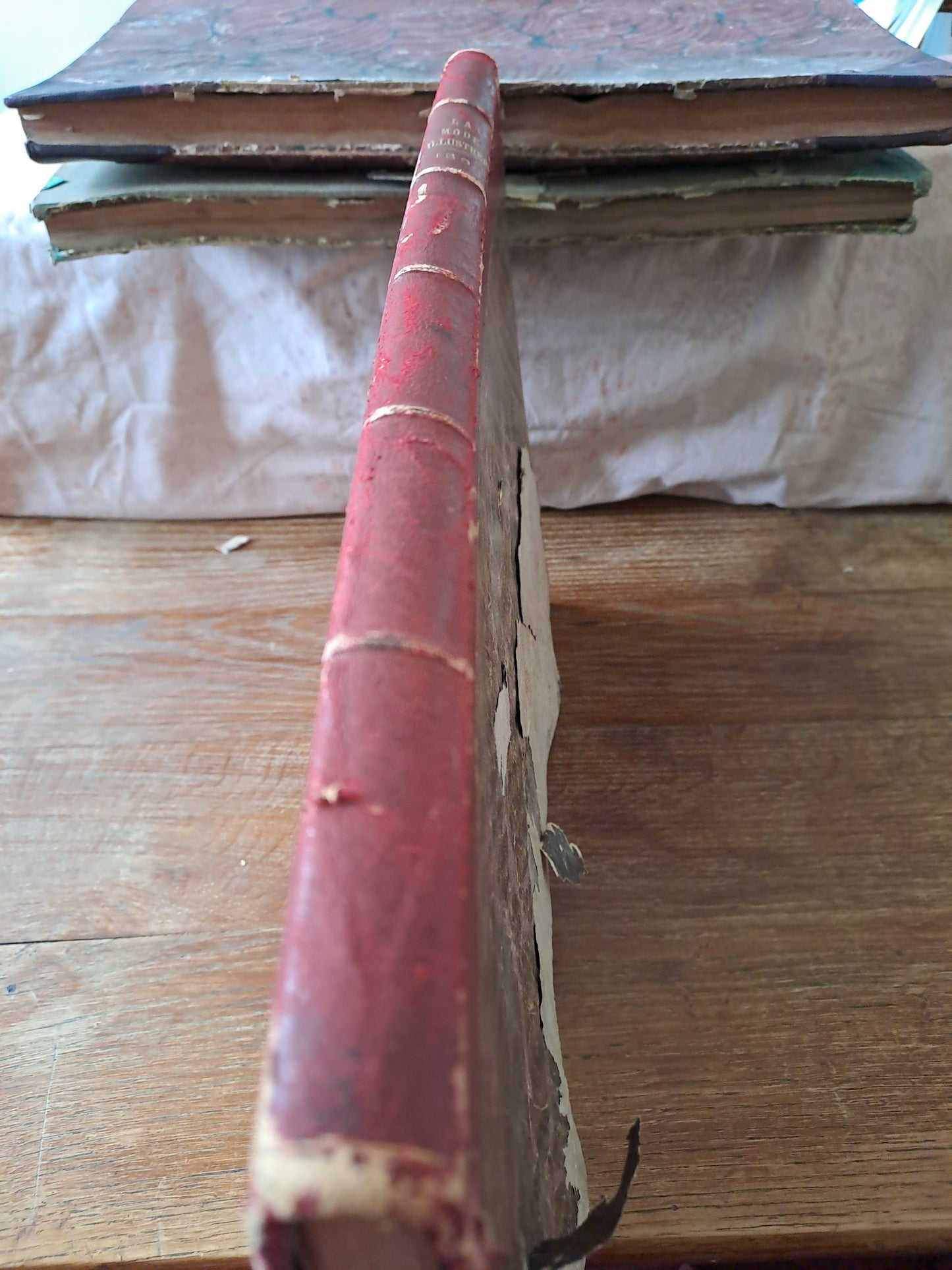 Revues "la mode illustré " 1896.