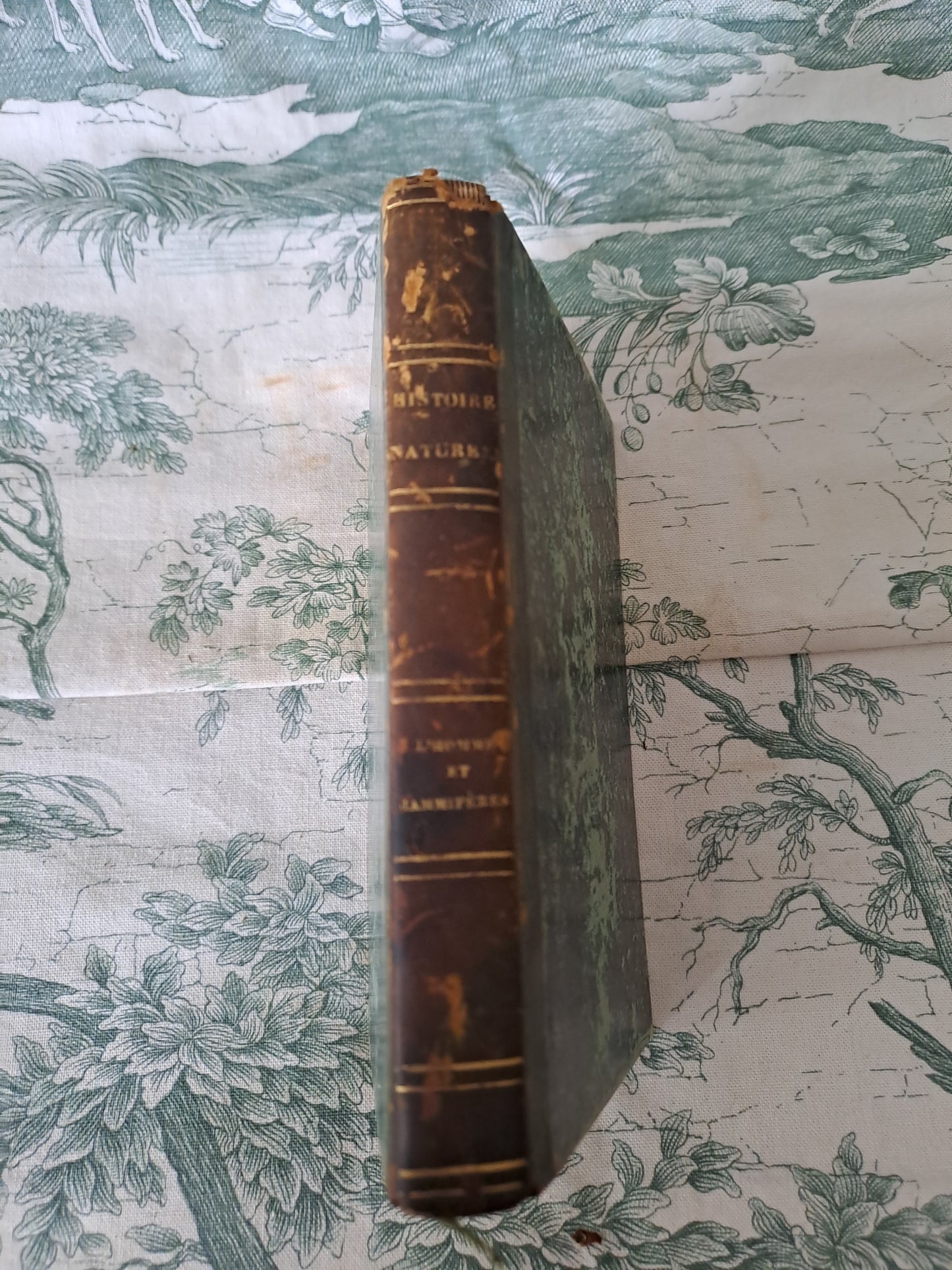L'homme et mammifères.Nouveau spectacle de la nature ou Dieu et ses œuvres. 1842. Ancien livre vintage catholique.