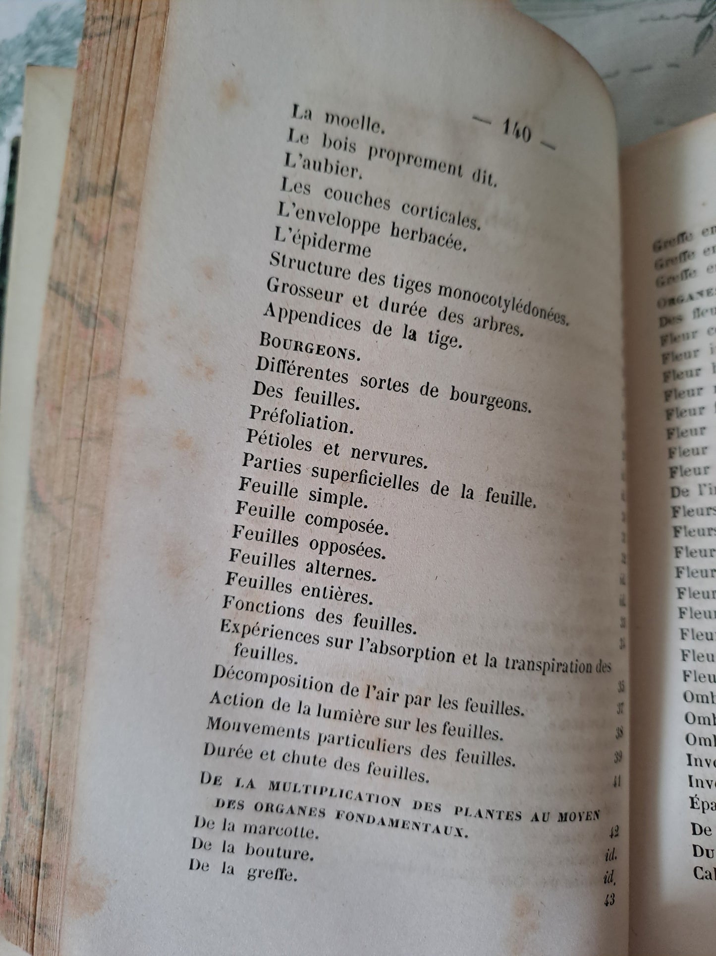 Botanique/ géologie. Nouveau spectacle de la nature ou Dieu et ses œuvres. 1842. Ancien livre vintage catholique.