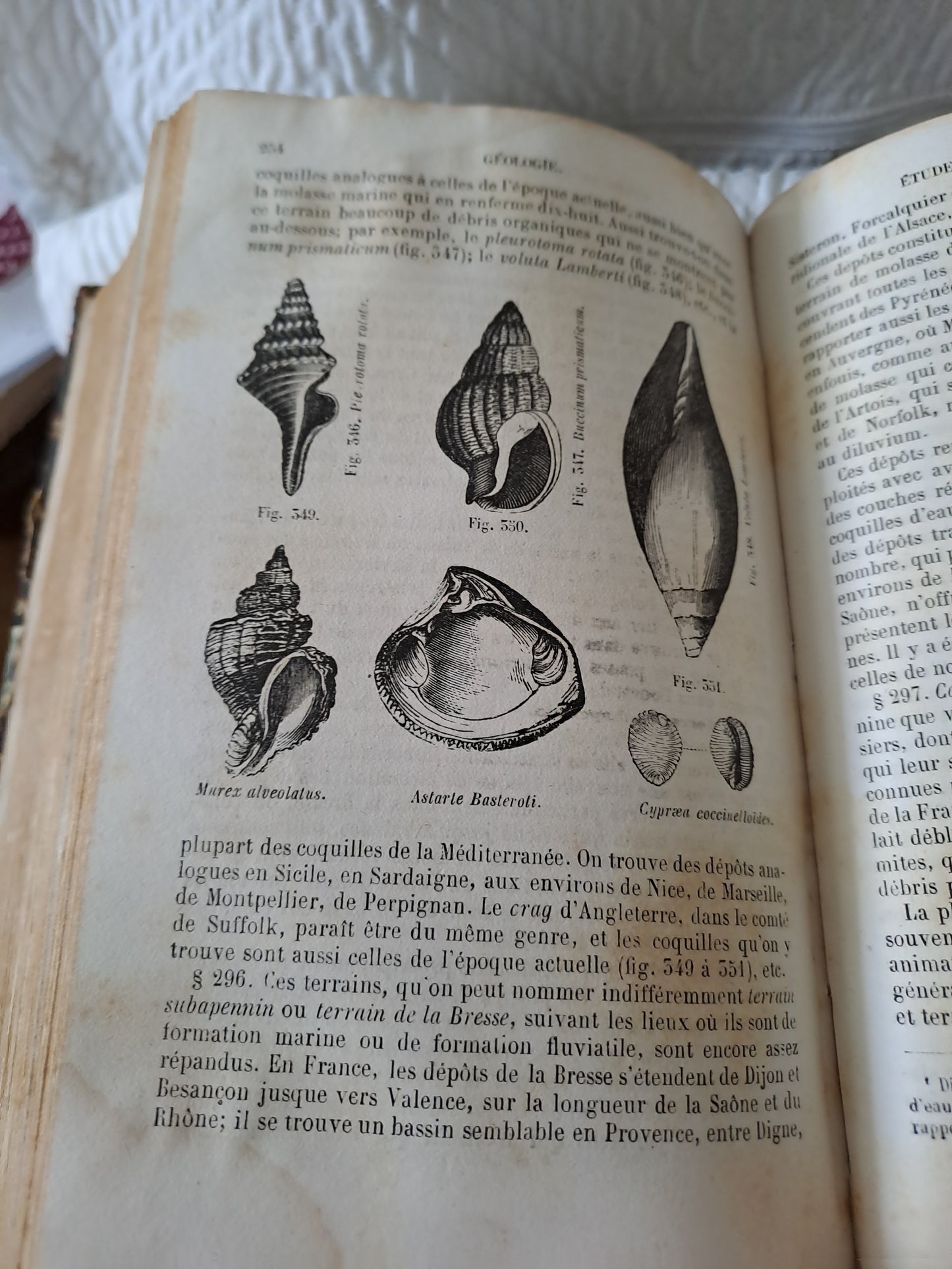 Cours élémentaire d'histoire naturelle  minéralogie et géologie. Par Beudant. 1858. Ancien livre vintage catholique.