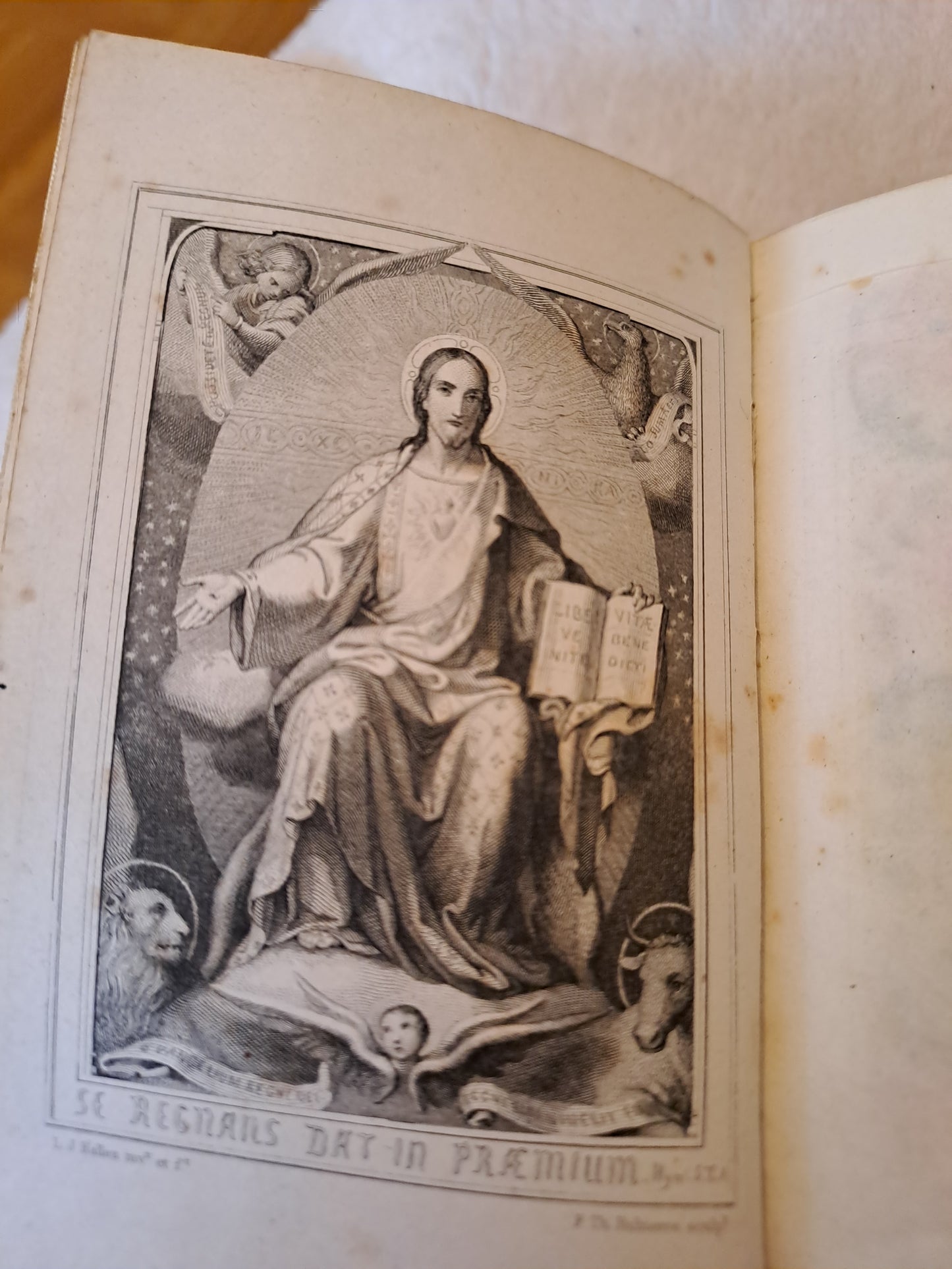 Paroissien à l'usage des diocèses qui suivent le rite de Paris contenant les offices de tous les dimanches.....