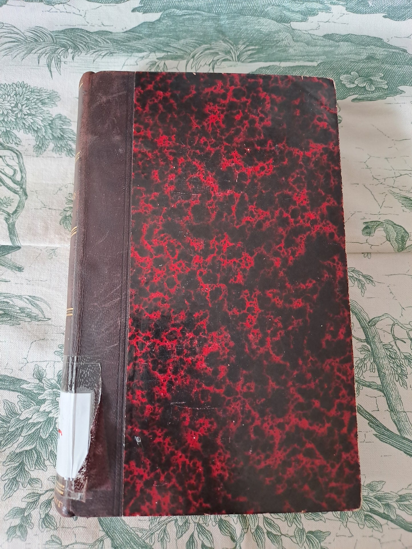 Vie de Saint François de Sales. 1856. Tome 1. 