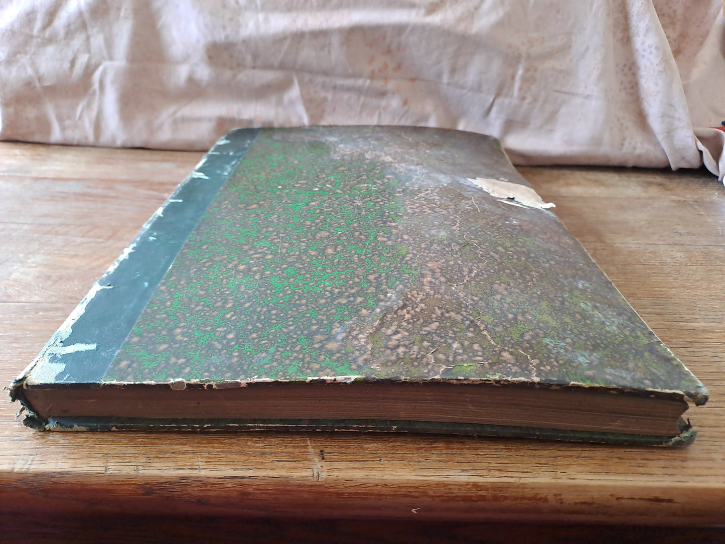 Revues " La mode illustré " journal de la famille. Pour l'année 1890. 31eme année. Ancien livre vintage.