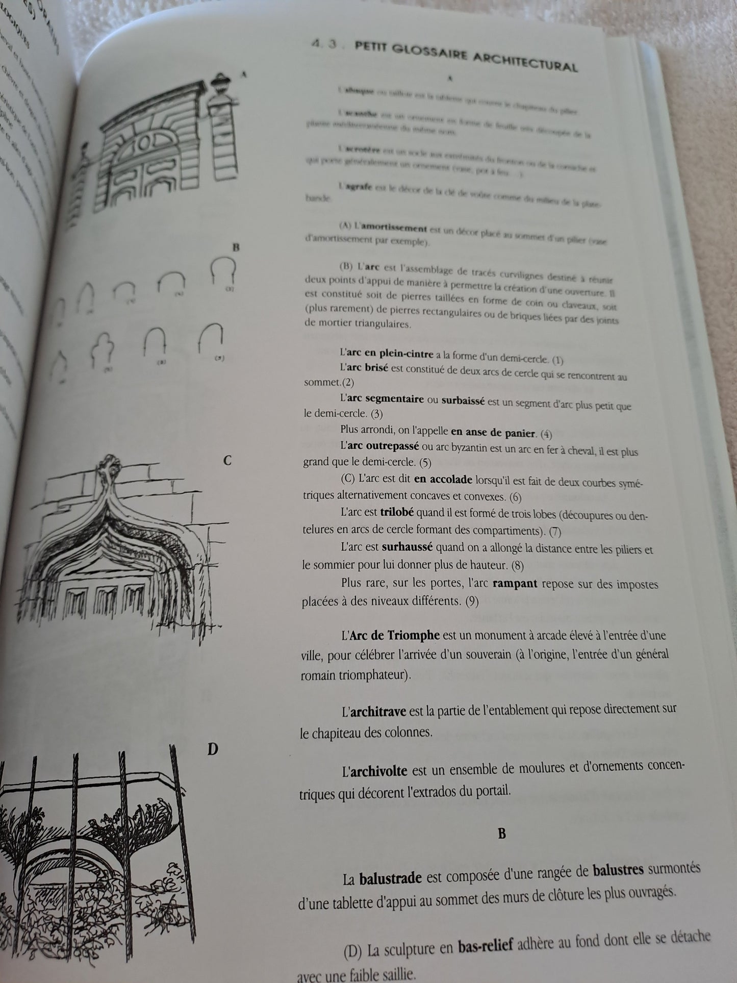 Livre. Dijon de porte en porte. Thérèse Dubuisson.