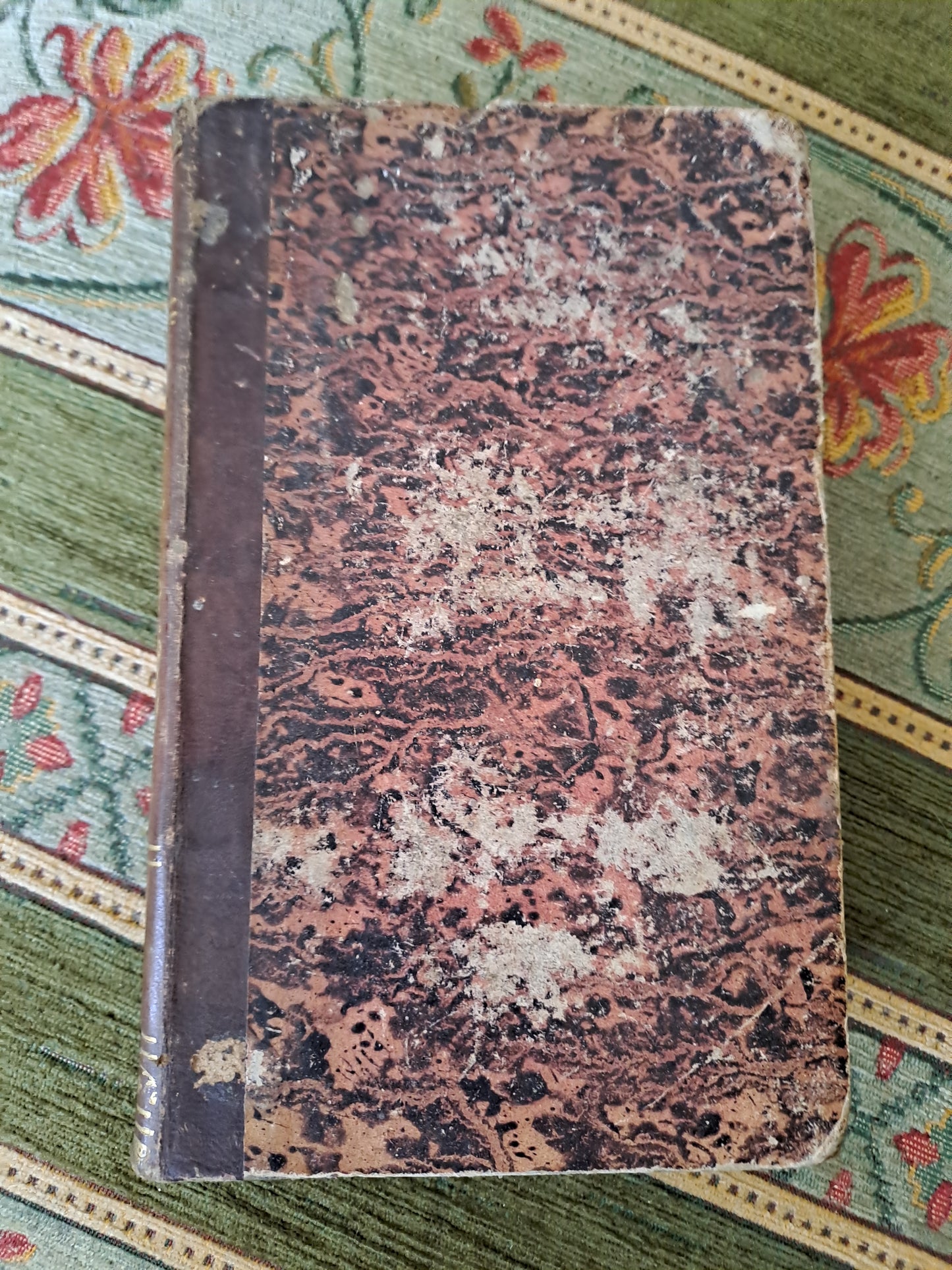 Bible. T10. 1835. R P De Carrières Commentaires De Menochius.