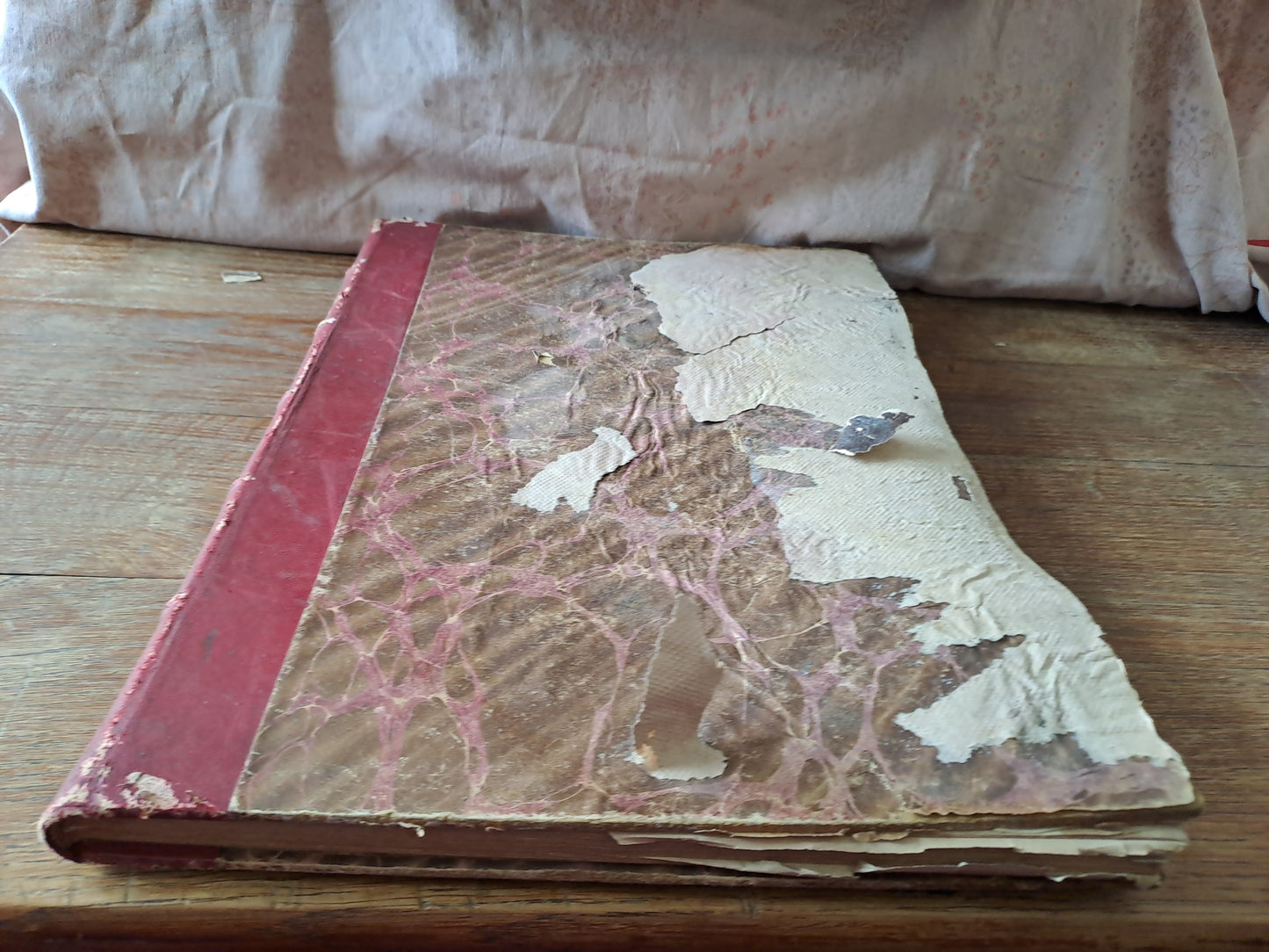 Revues "la mode illustré " 1896.