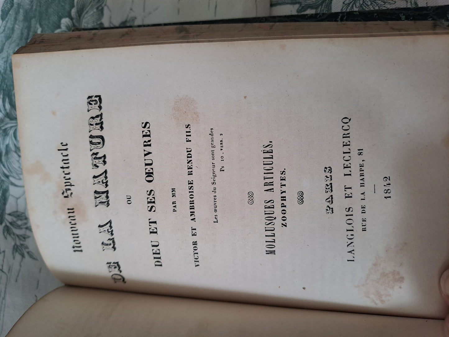 Insectes/ mollusques articulés. Nouveau spectacle de la nature ou Dieu et ses œuvres. 1842. Ancien livre vintage catholique.