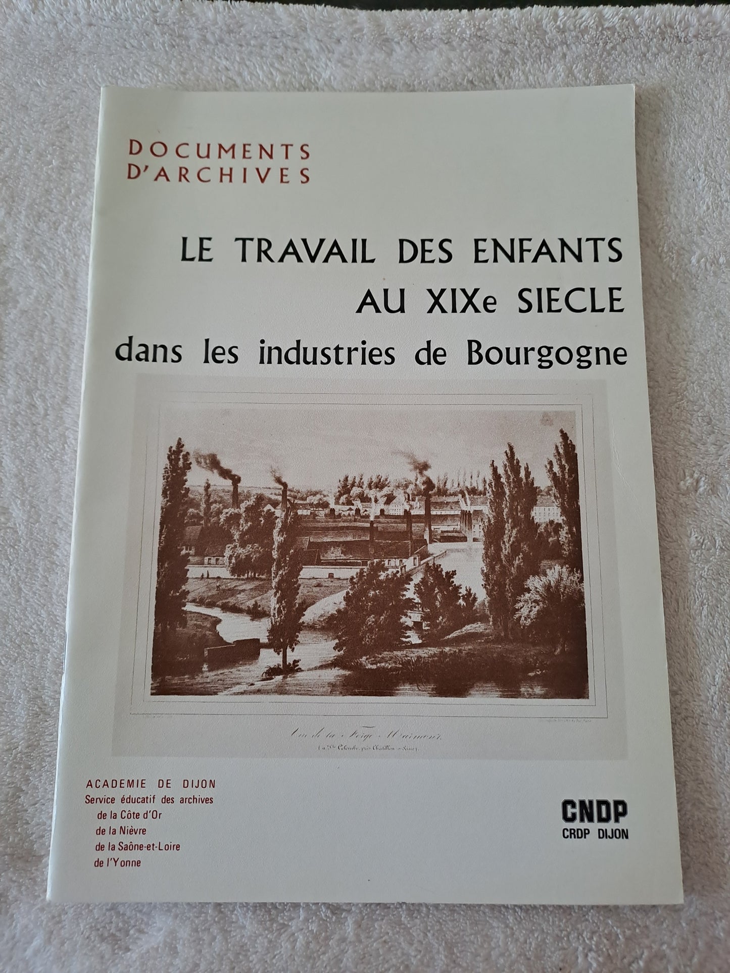 Livre. Le travail des enfants au XIXe siècle dans les industries de Bourgogne.