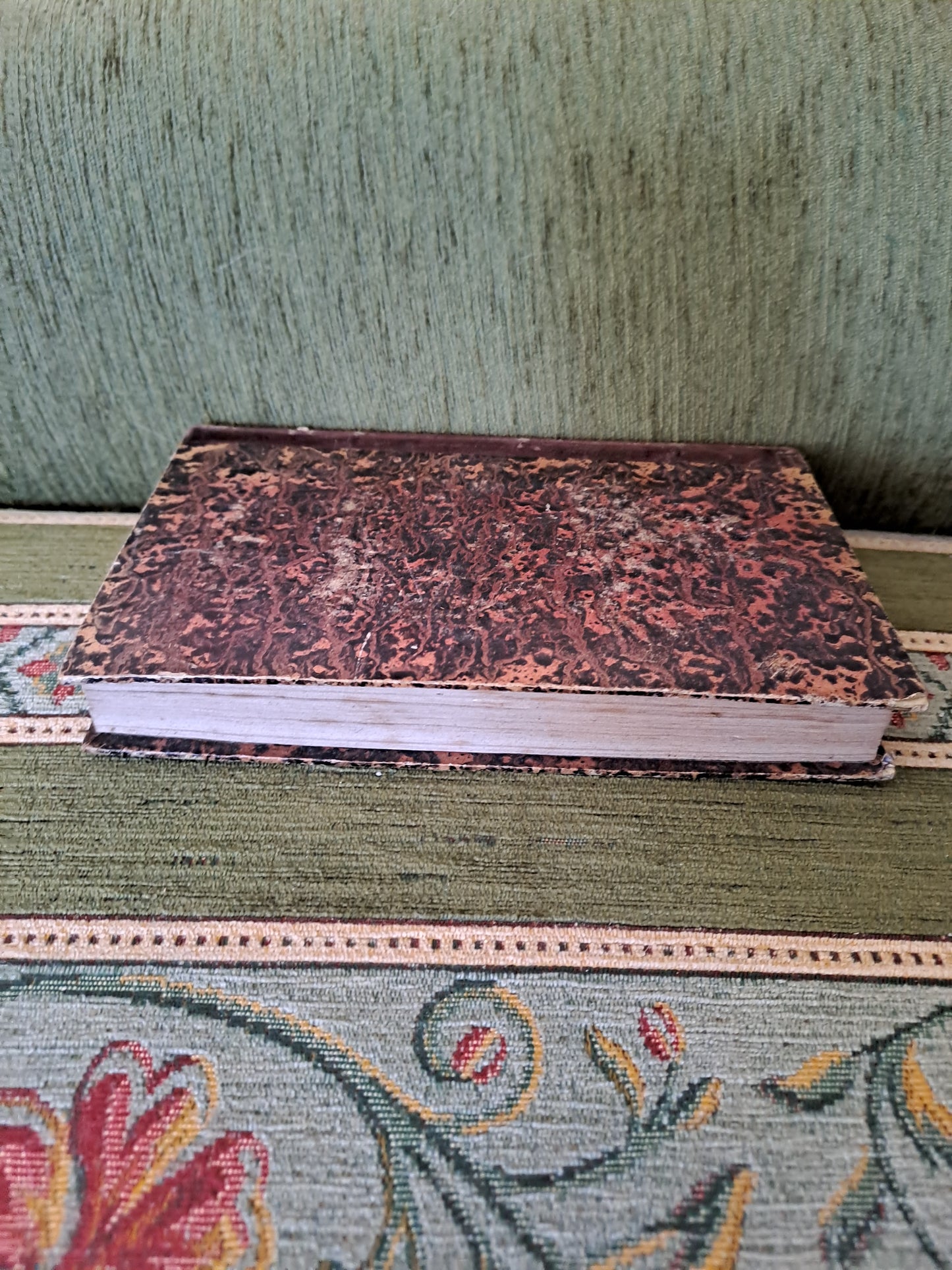 Bible. T5. 1835. R P De Carrières Commentaires De Menochius.